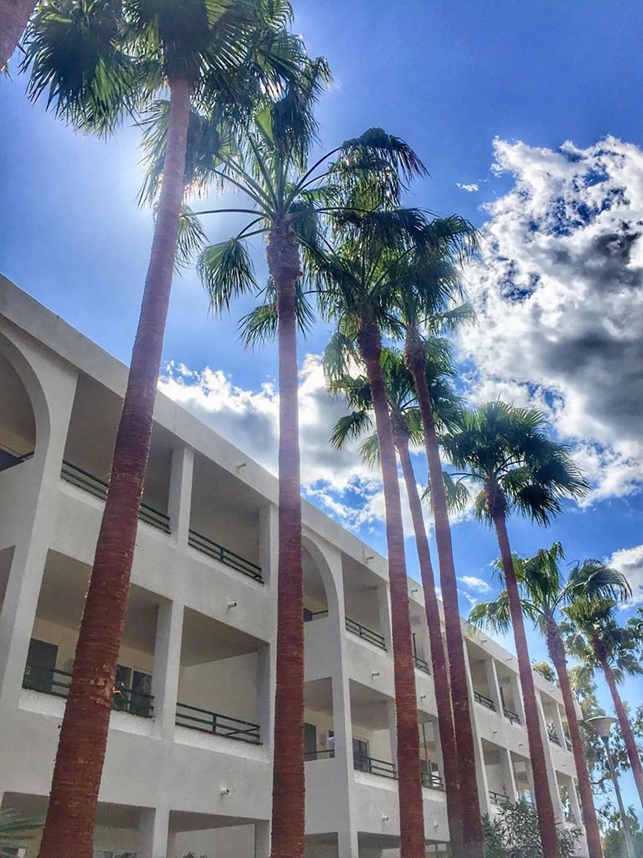 Other in Mallorca Cecilia