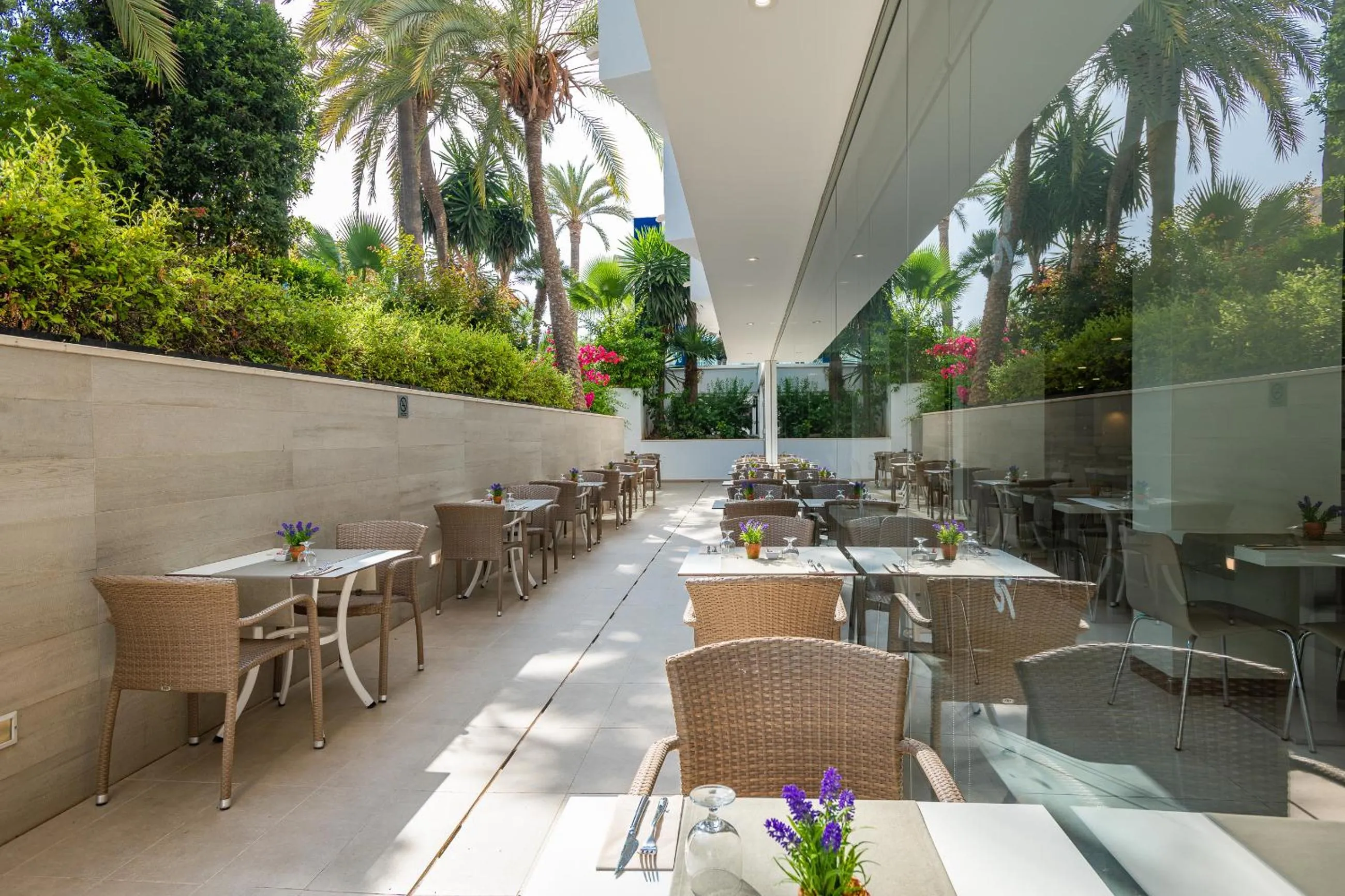 Restaurant/places to eat in Globales Panamá - Adults Only