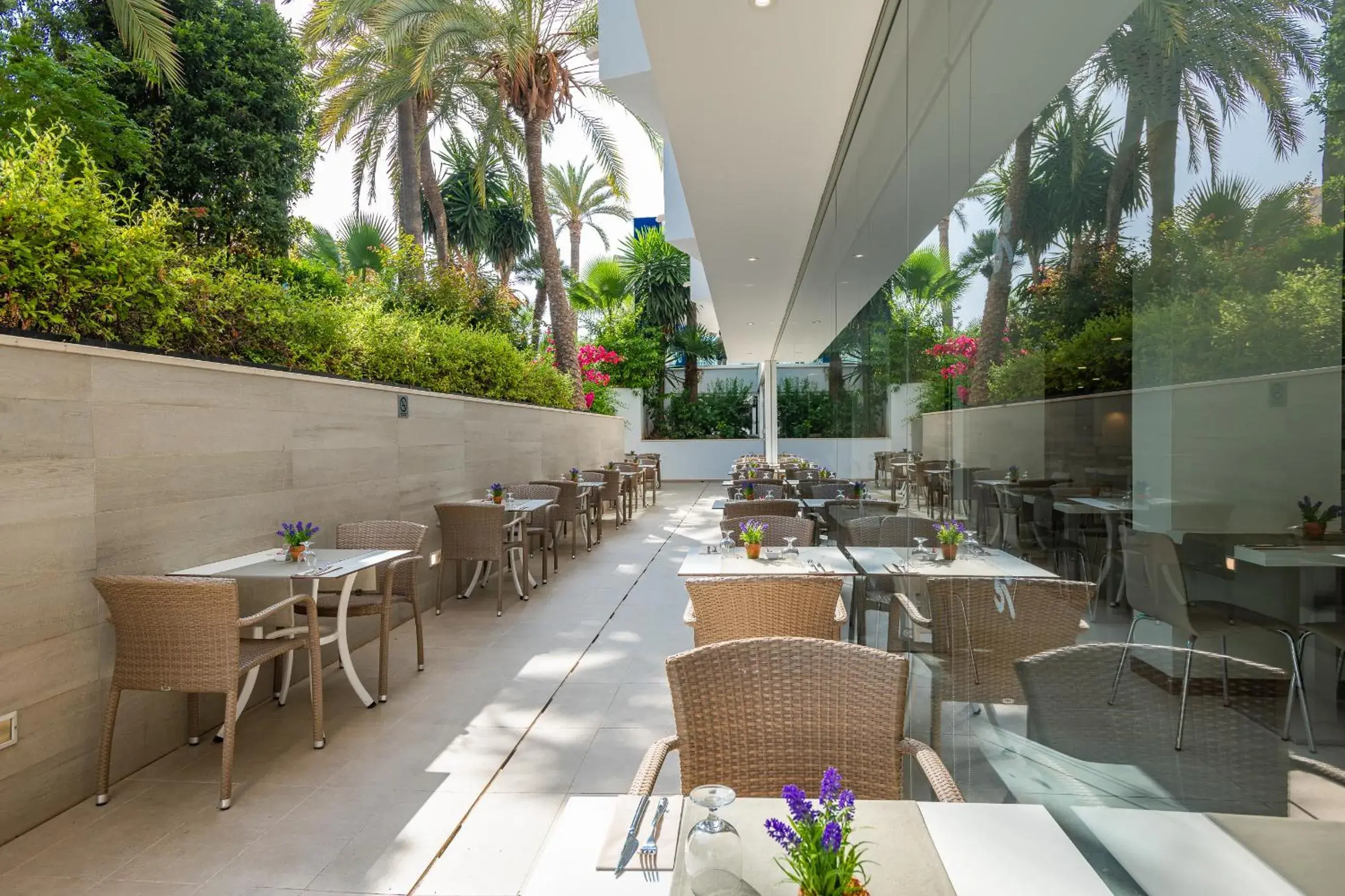 Restaurant/places to eat in Globales Panamá - Adults Only Restaurant/places to eat in Globales Panamá - Adults Only