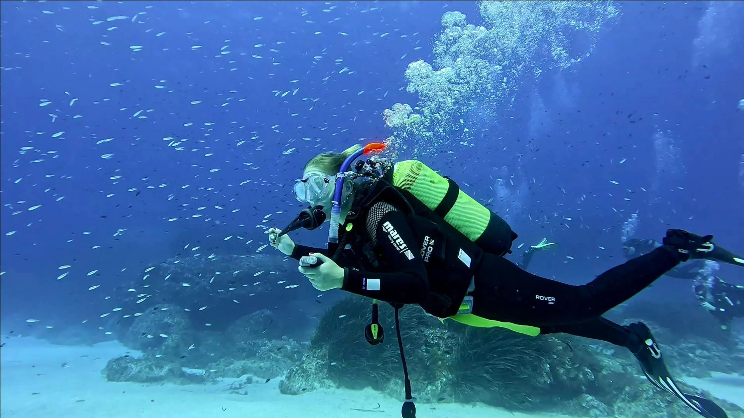 Smy Portocolom - Renovated 2026