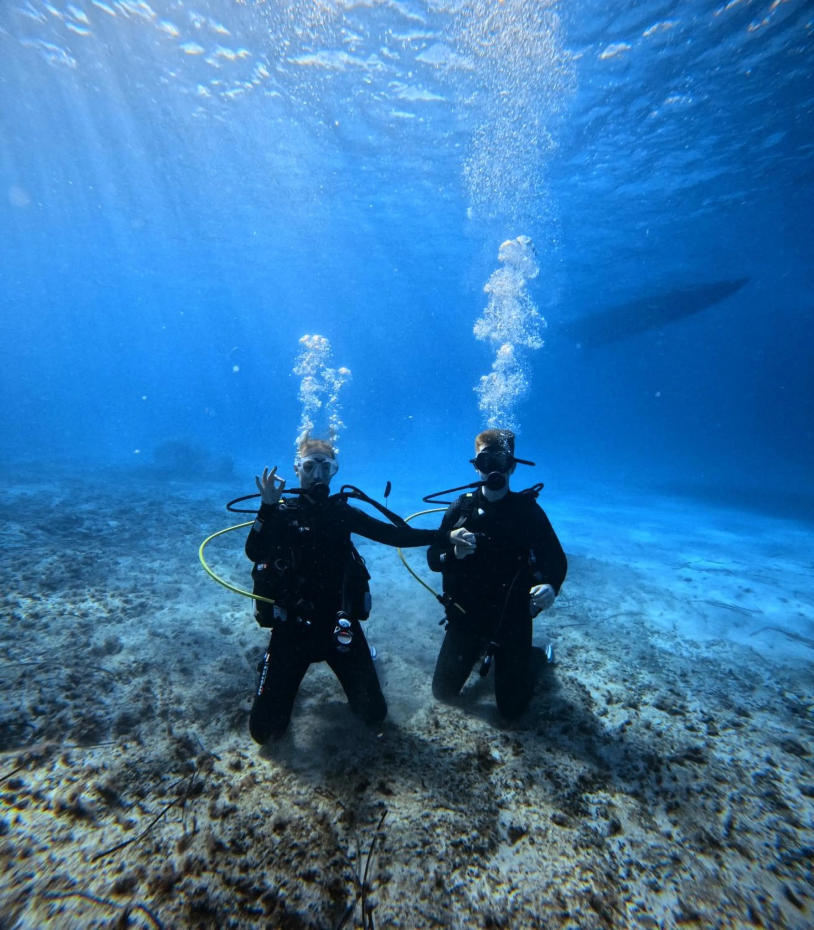 Smy Portocolom - Renovated 2026