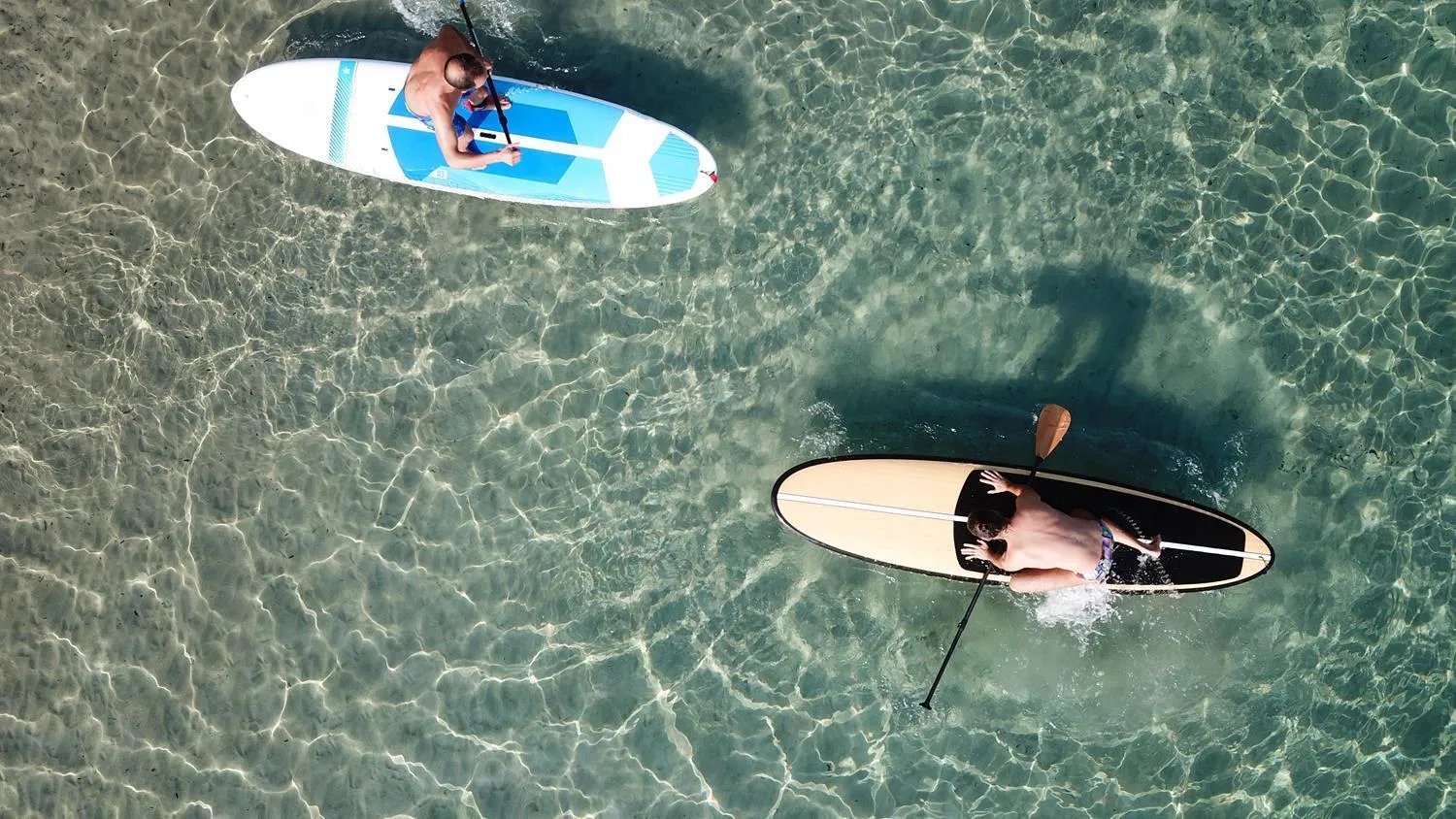 Activities in Smy Portocolom - Renovated 2026