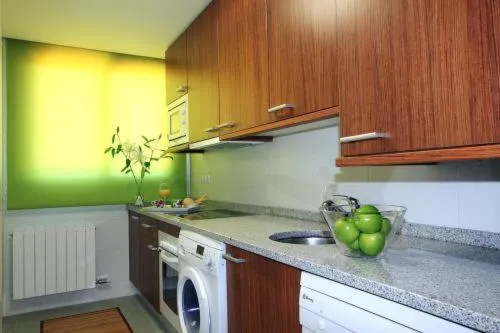 Kitchen or kitchenette in Apartamentos Turísticos Real Valle Ezcaray