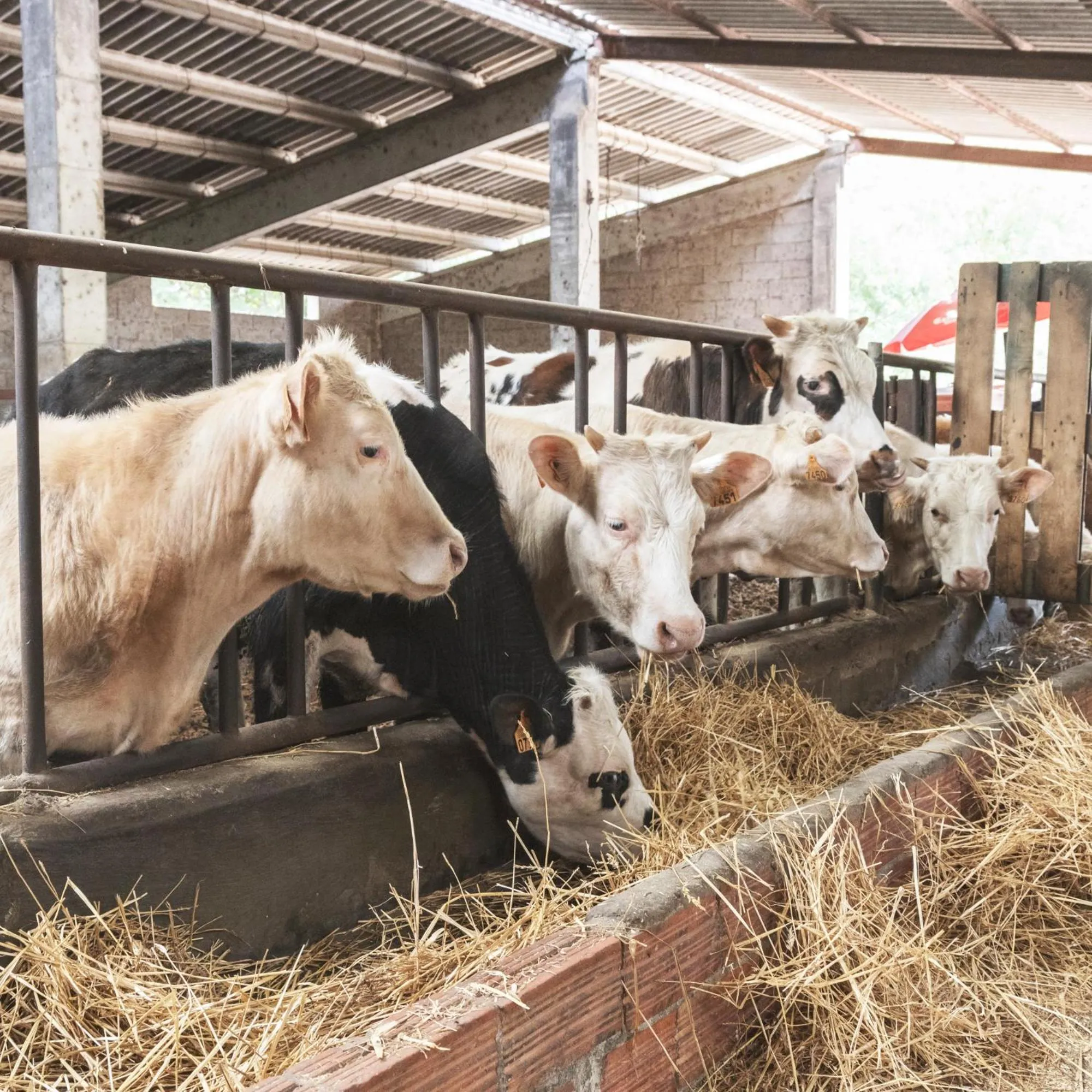 Apartamentos Turísticos Real Valle Ezcaray