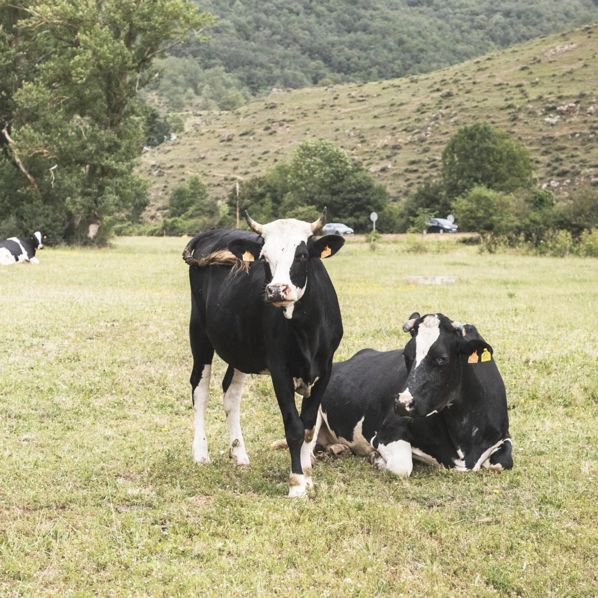 Apartamentos Turísticos Real Valle Ezcaray