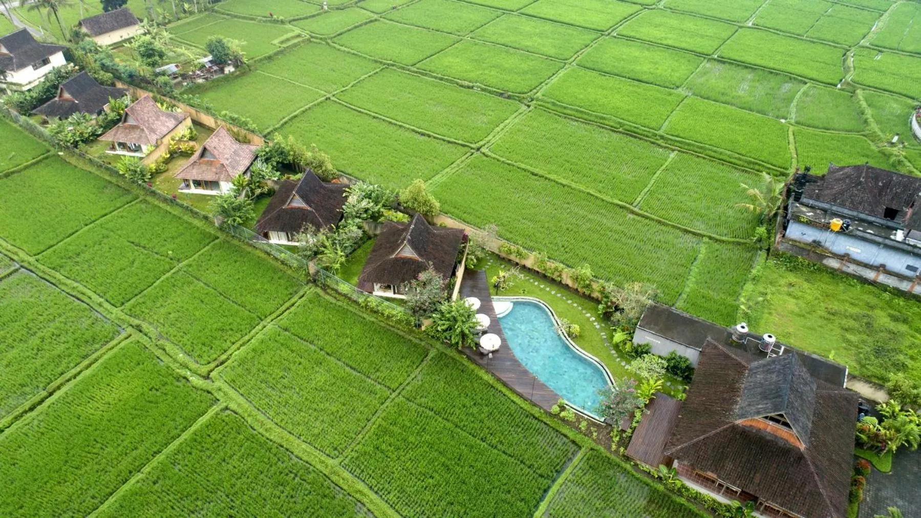 Neighbourhood in Kabinawa Ubud Villas by GenuineHost