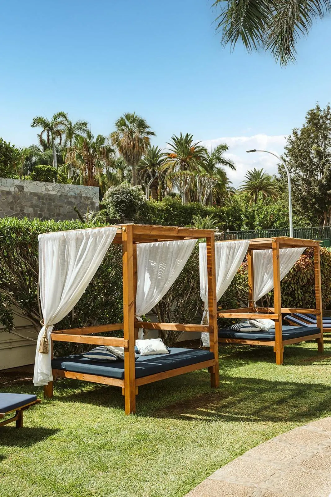 Natural landscape in Precise Resort Tenerife