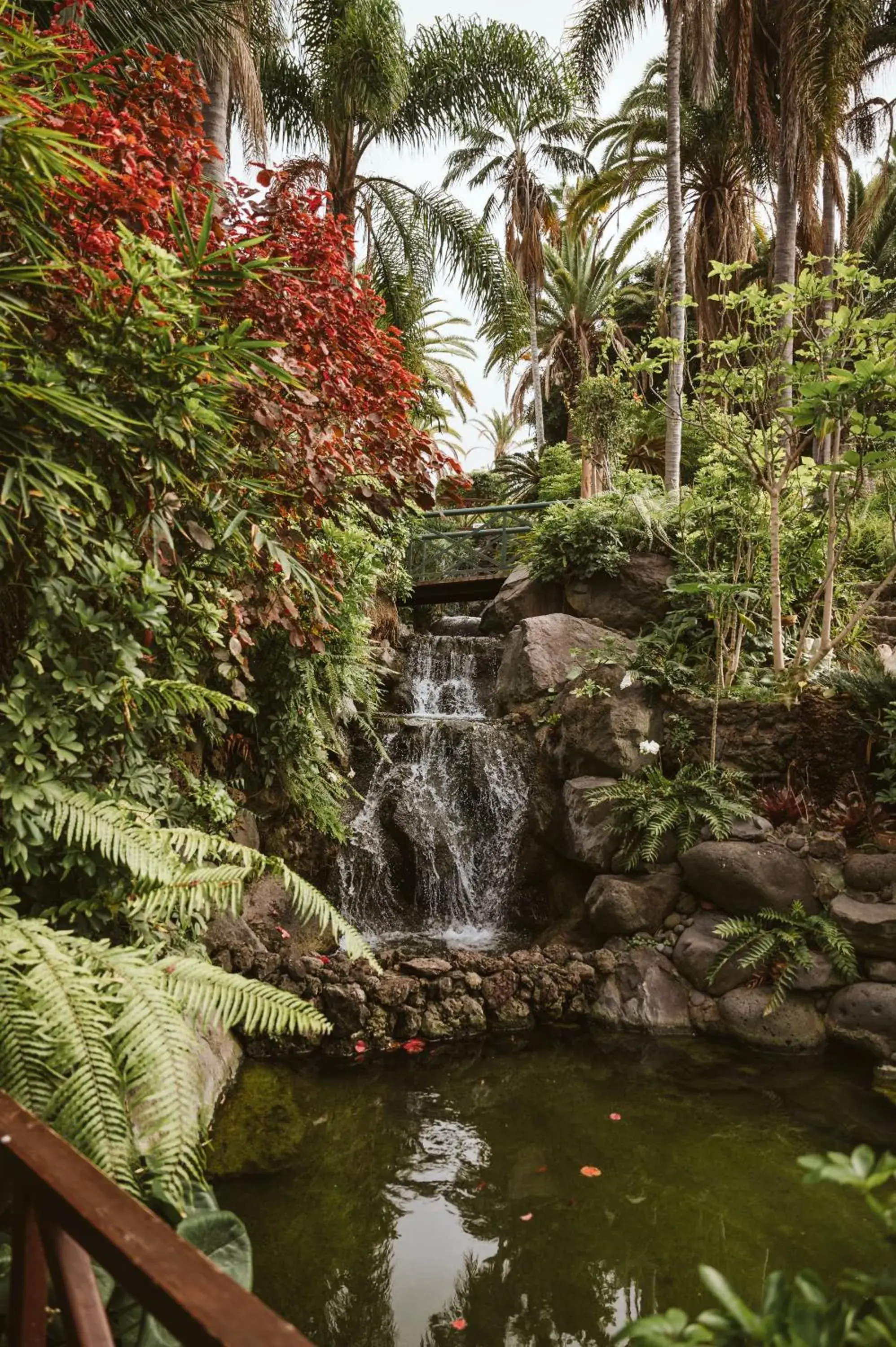 Natural landscape in Precise Resort Tenerife Natural landscape in Precise Resort Tenerife