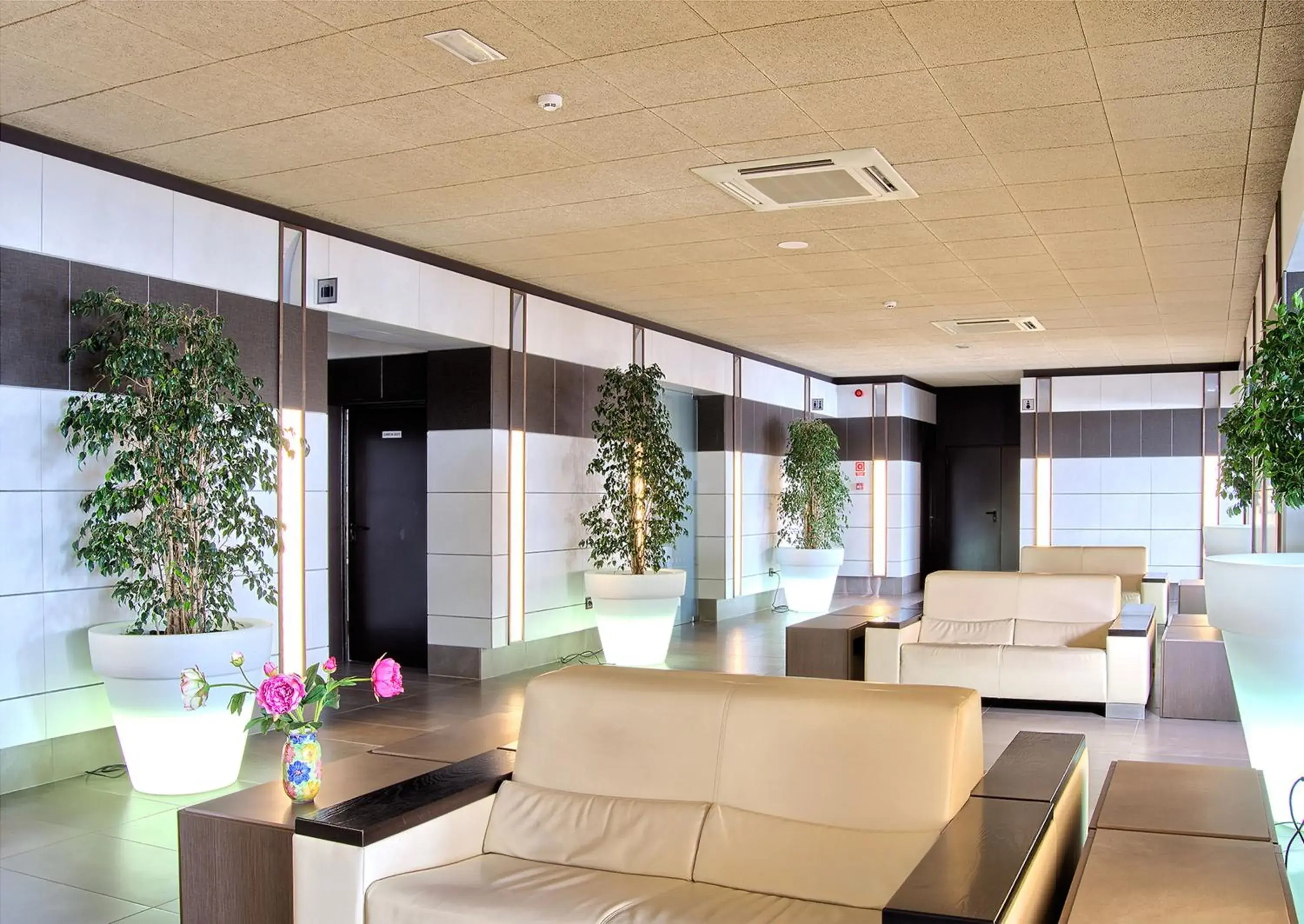 Lobby or reception in Hotel Papi Lobby or reception in Hotel Papi