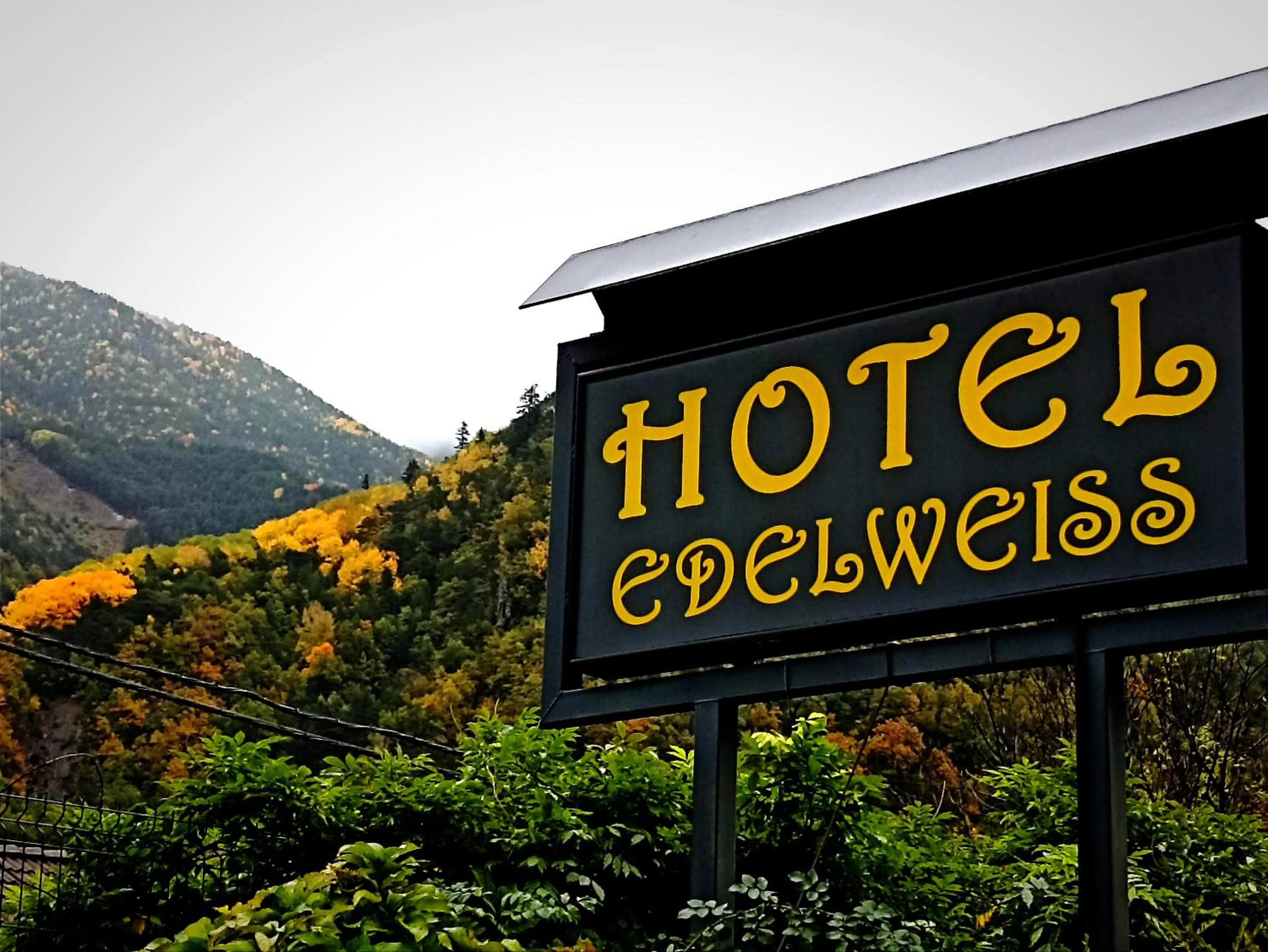 Property building in Edelweiss Hotel