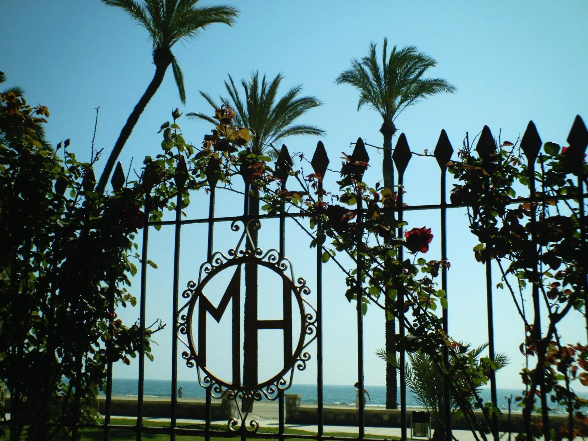 Garden in Hostería del Mar