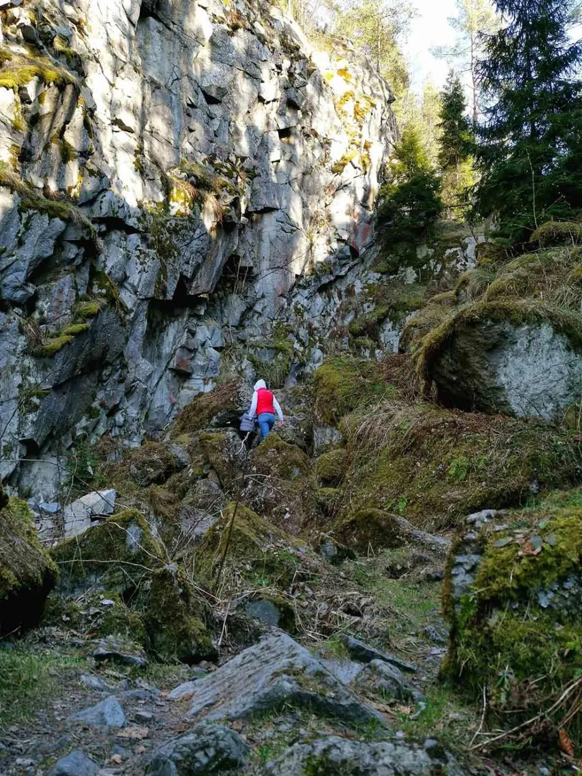 Pocztówka z Mizernej, domki z widokiem na góry, 1 km od Velo Czorsztyn, Jezioro Czorsztyńskie, rowery, cisza, spokój