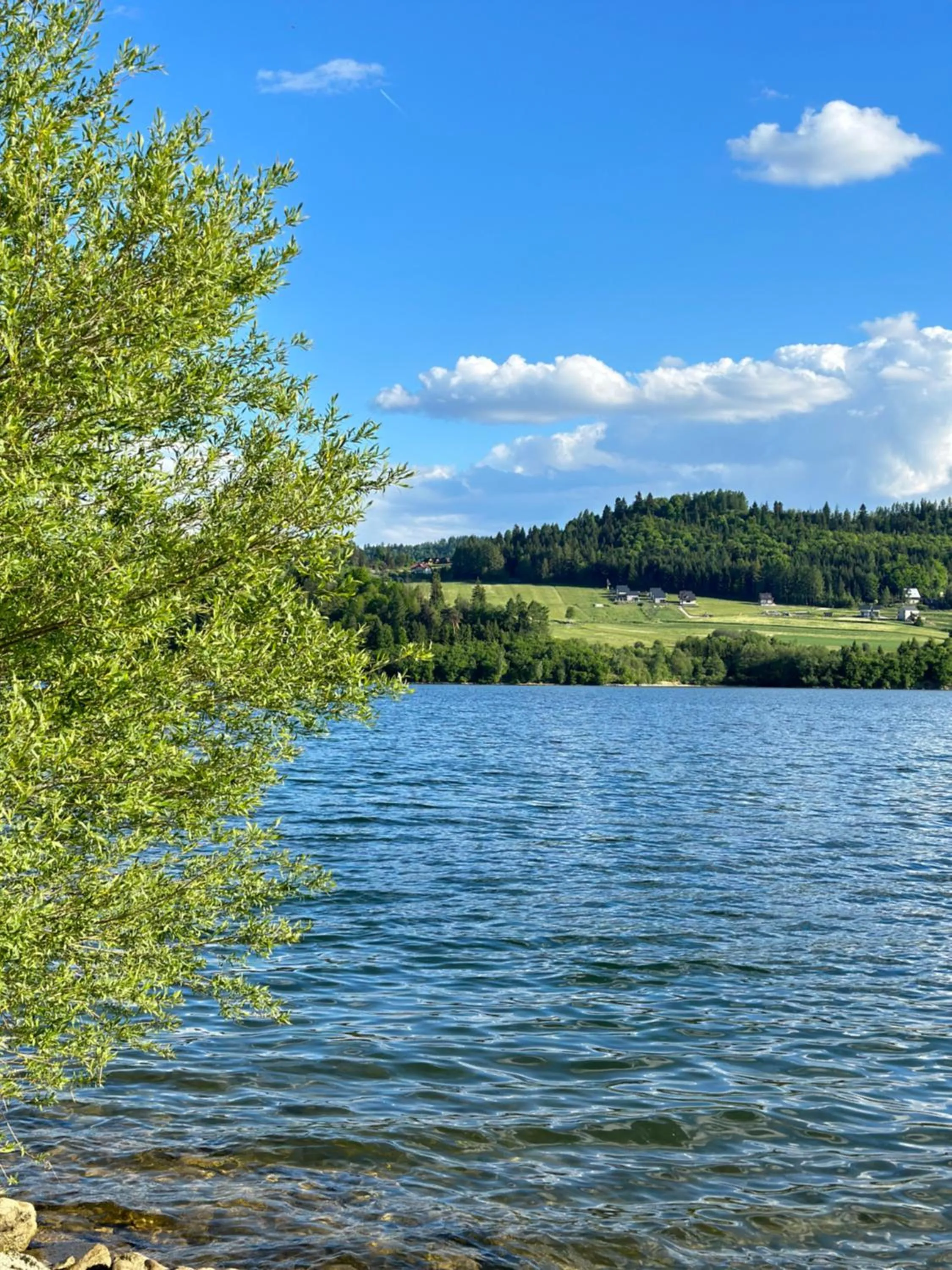 Pocztówka z Mizernej, domki z widokiem na góry, 1 km od Velo Czorsztyn, Jezioro Czorsztyńskie, rowery, cisza, spokój
