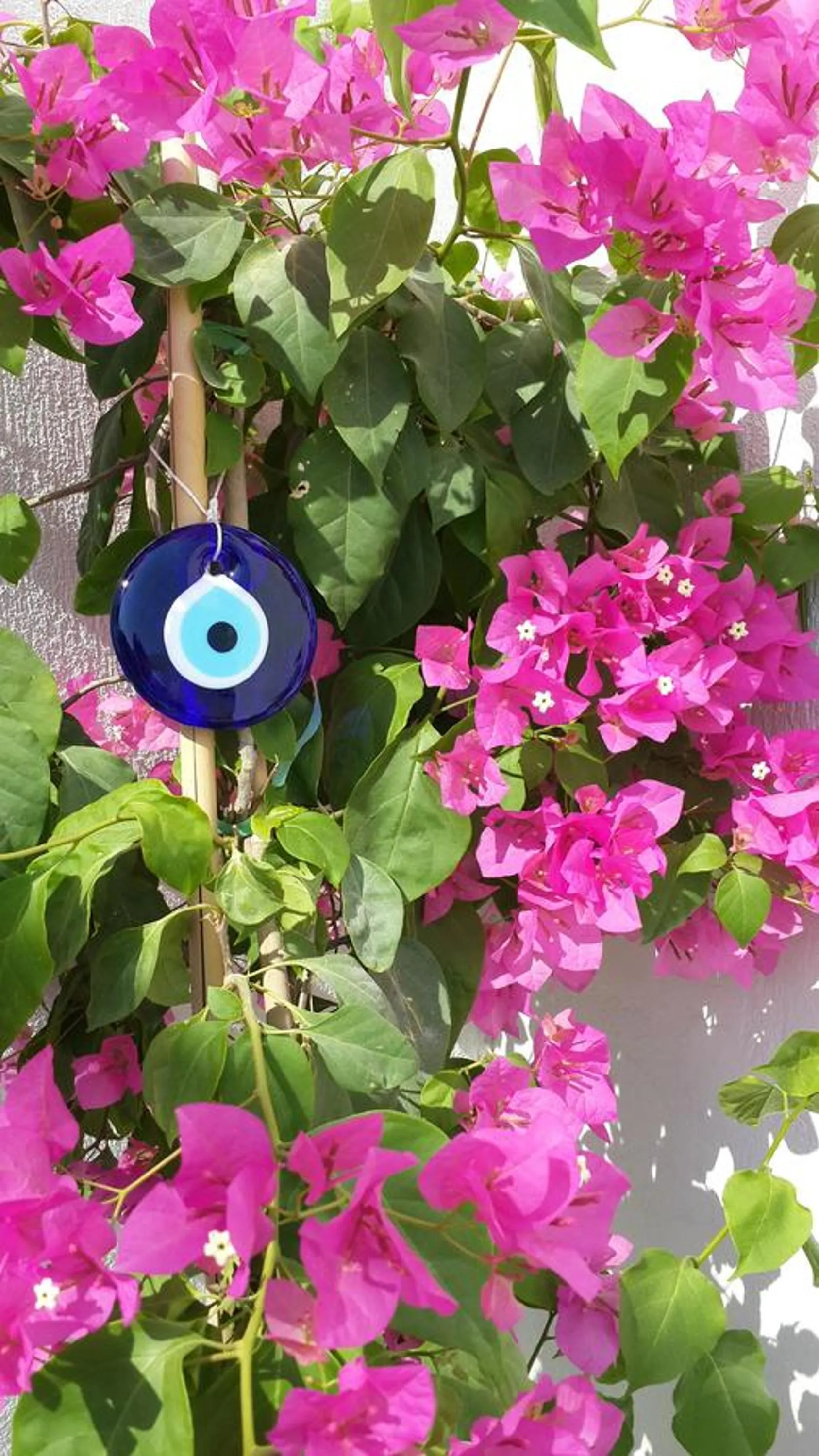 Summer in Deniz Yıldızı Pansiyon