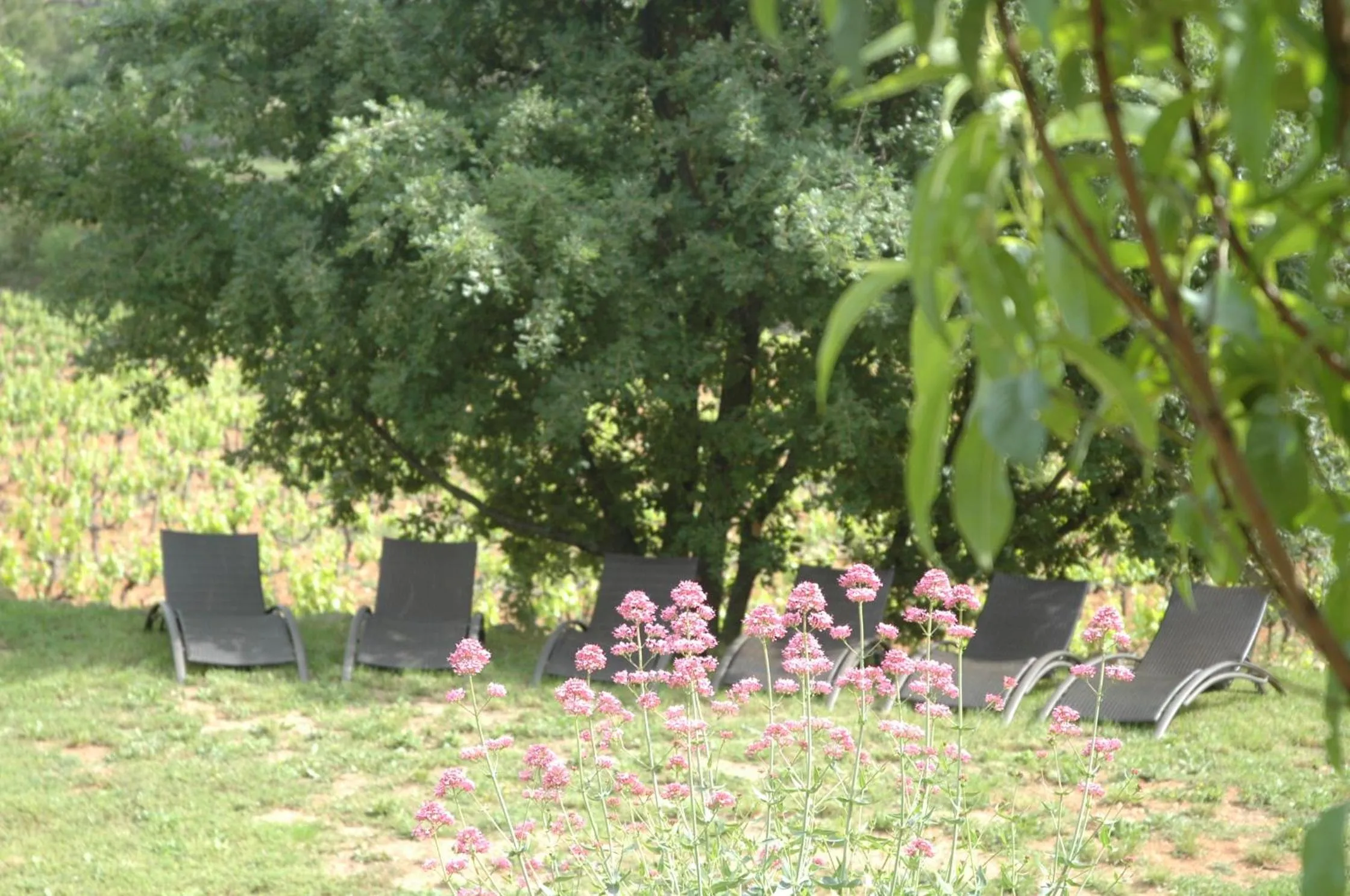 Garden in La Maison de Campagne