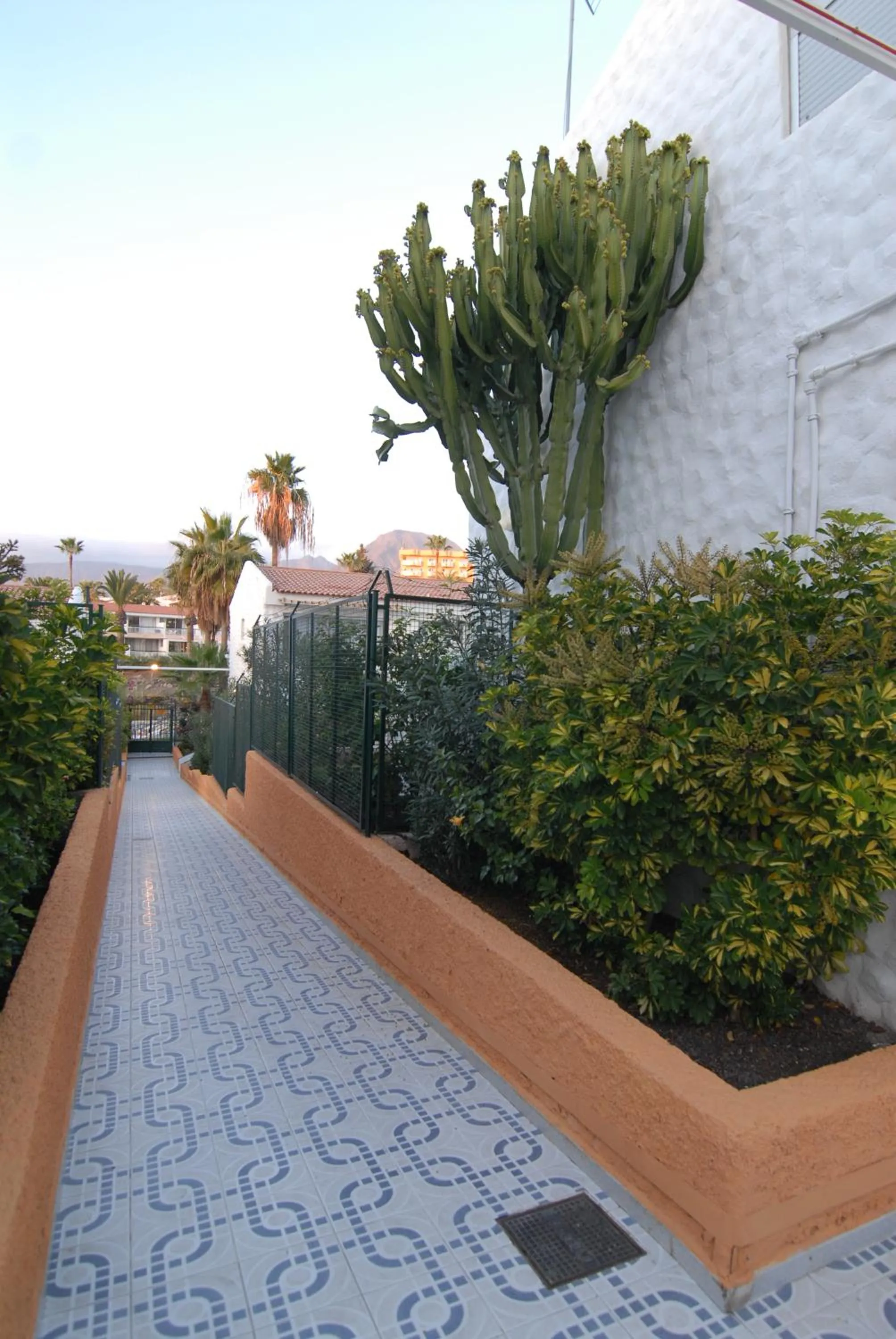 Other in Paradero II