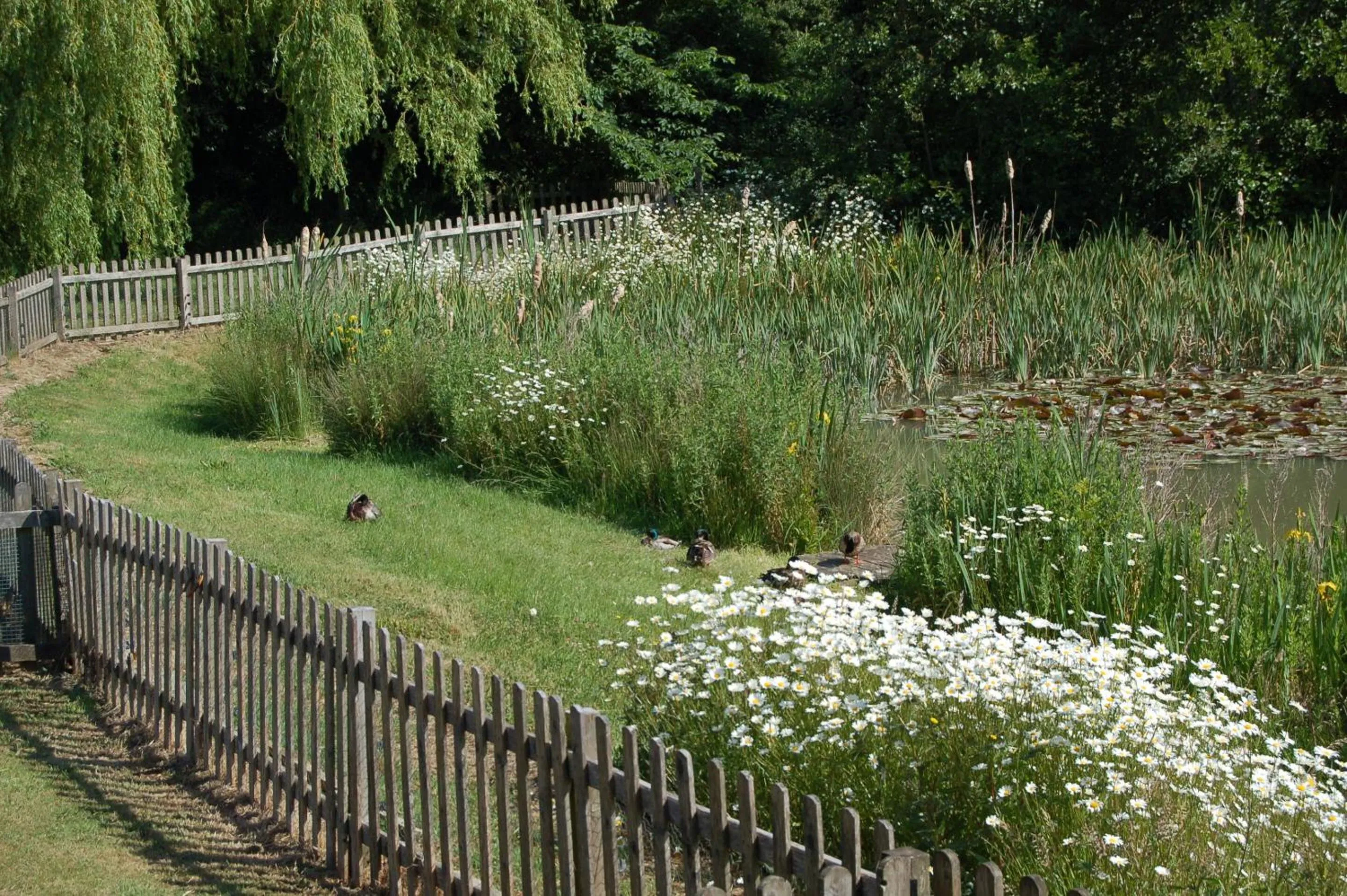 Property building in Watermeadow Lakes & Lodges