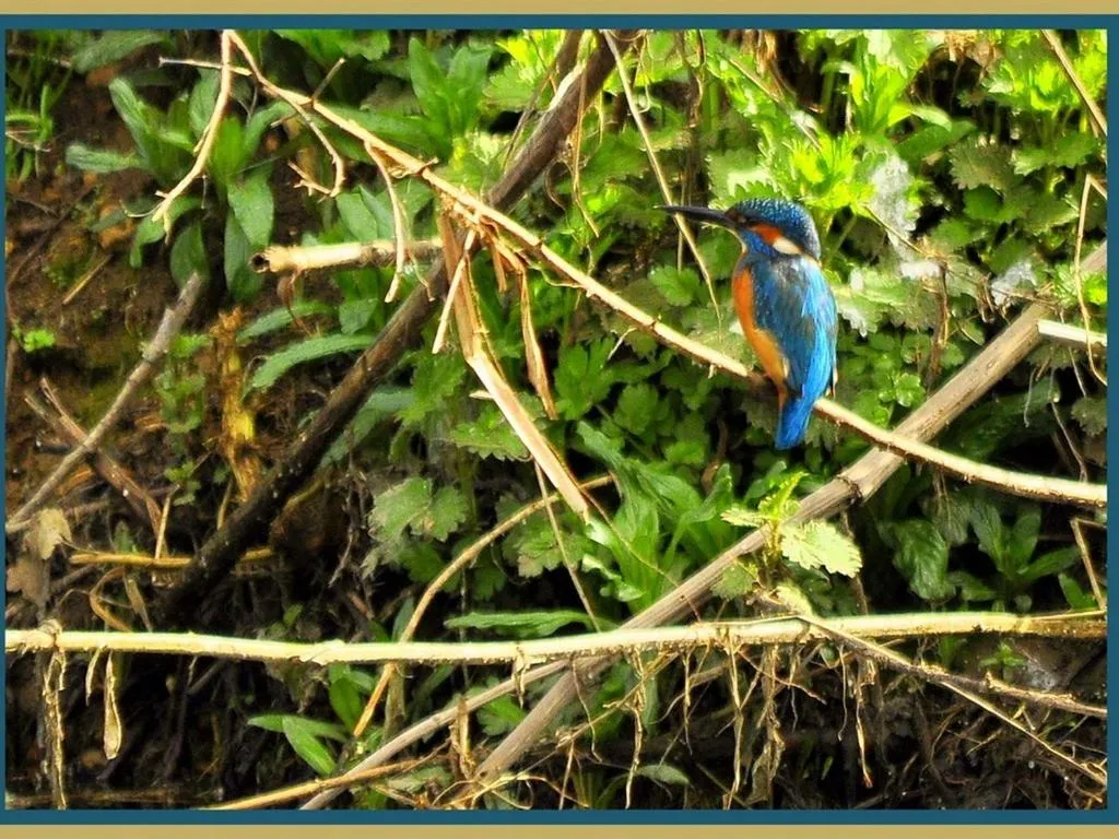 View (from property/room) in Watermeadow Lakes & Lodges