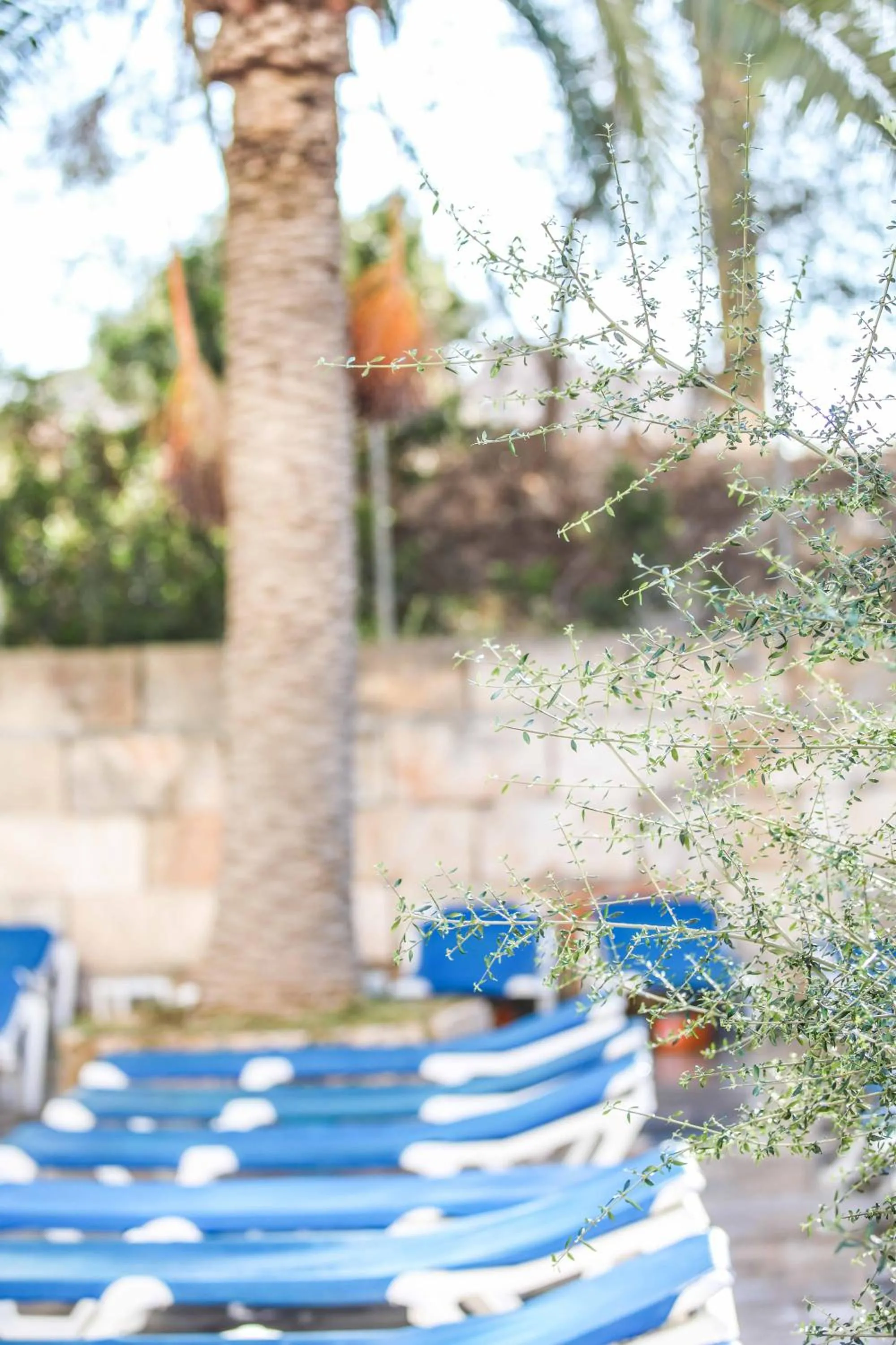 Garden in Hotel Urania Arenal by Soho Boutique - Adults Recommended