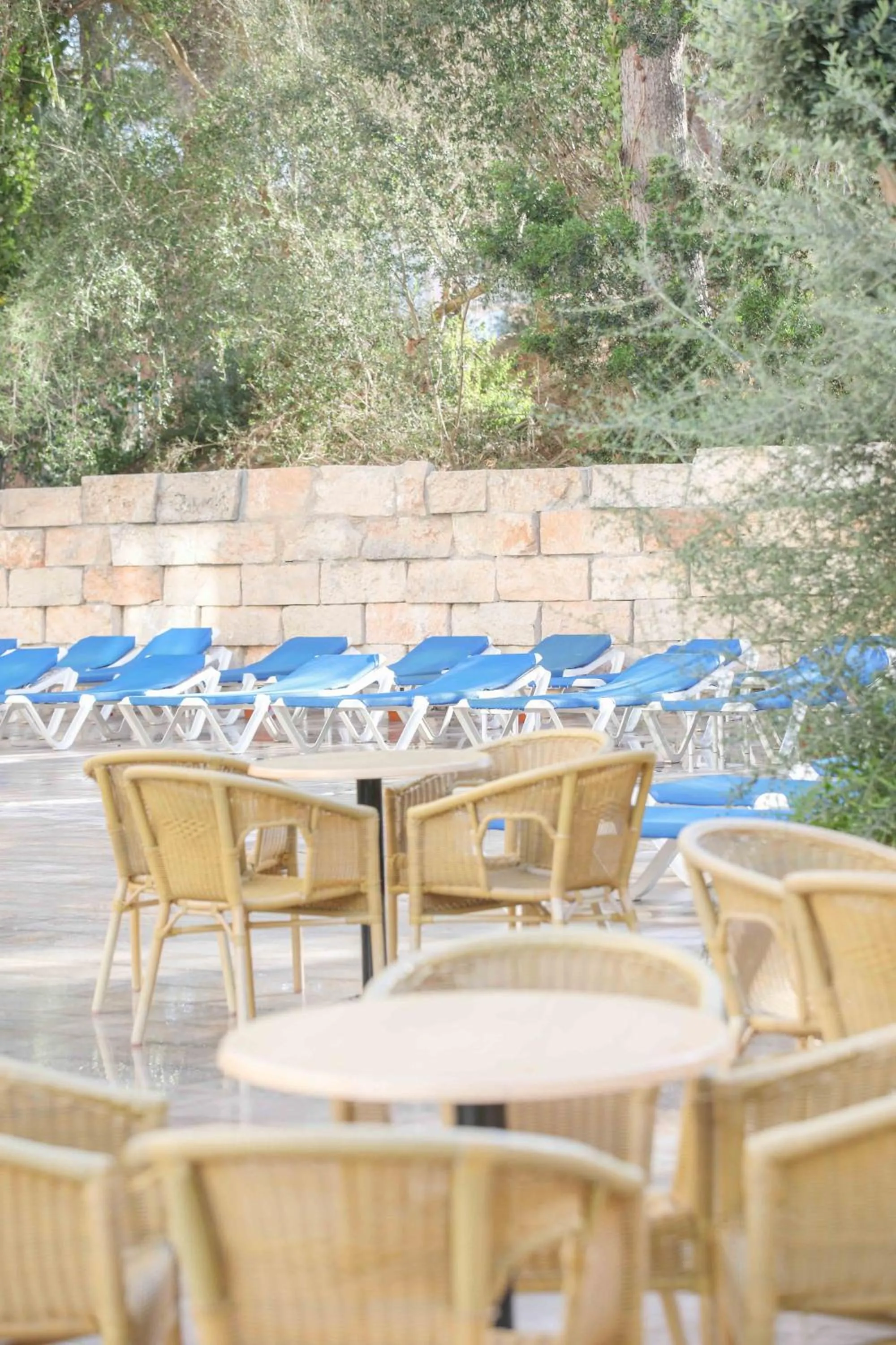 Garden in Hotel Urania Arenal by Soho Boutique - Adults Recommended