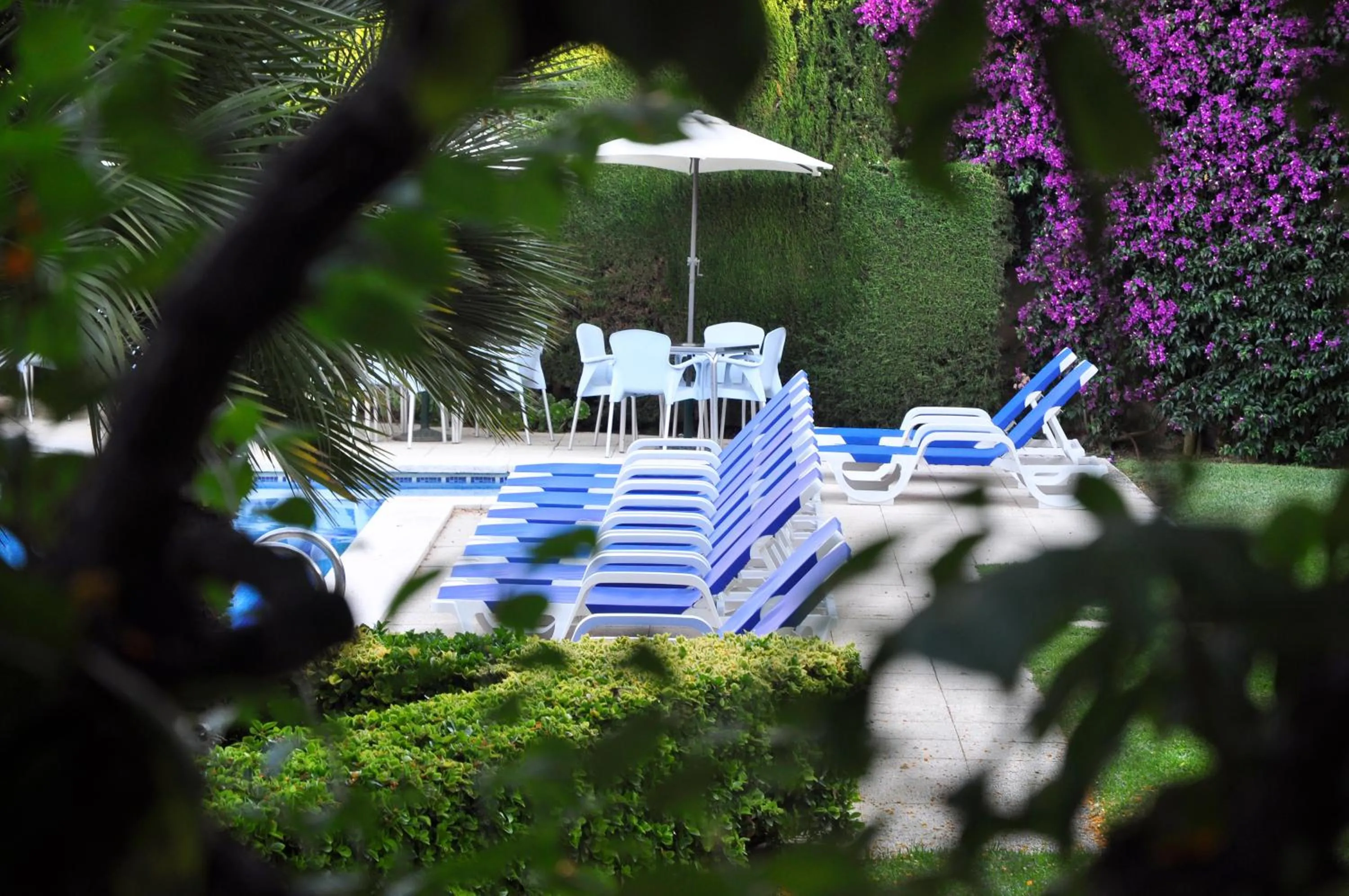 Garden in Hotel Yola
