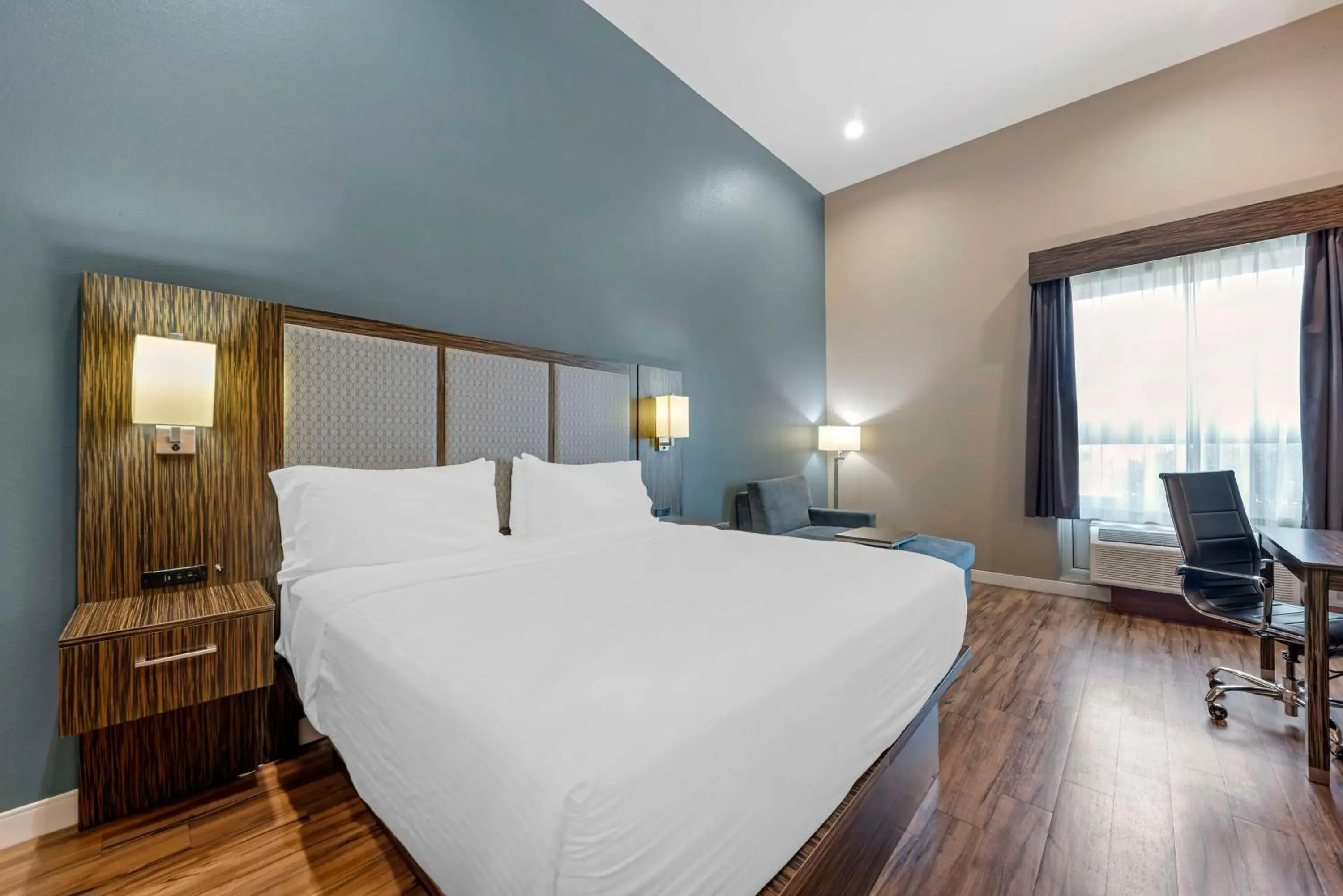 King Room - Pet Friendly in Best Western Plus Pflugerville Inn & Suites King Room - Pet Friendly in Best Western Plus Pflugerville Inn & Suites