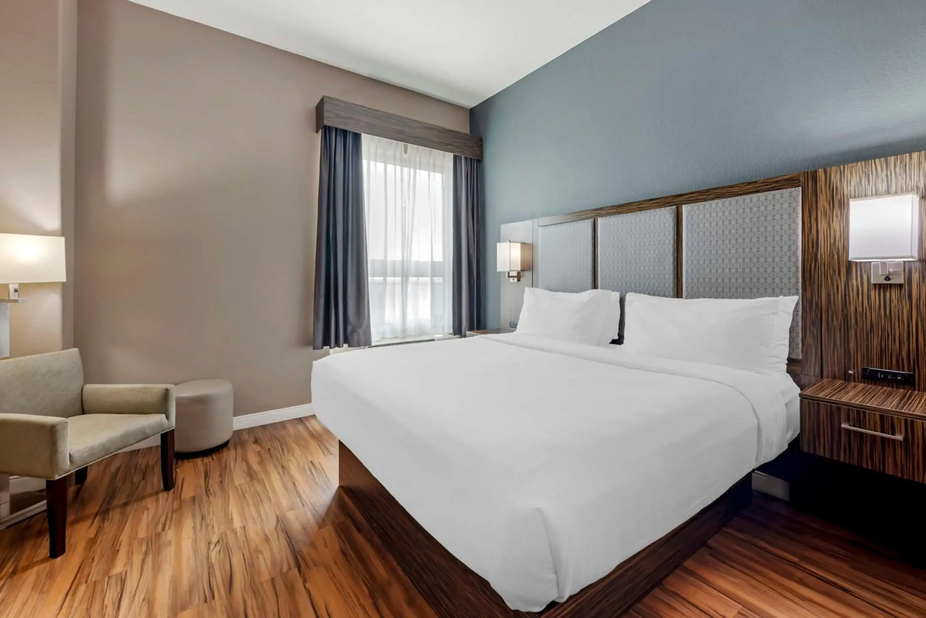 Photo of the whole room, Bed in Best Western Plus Pflugerville Inn & Suites Photo of the whole room, Bed in Best Western Plus Pflugerville Inn & Suites