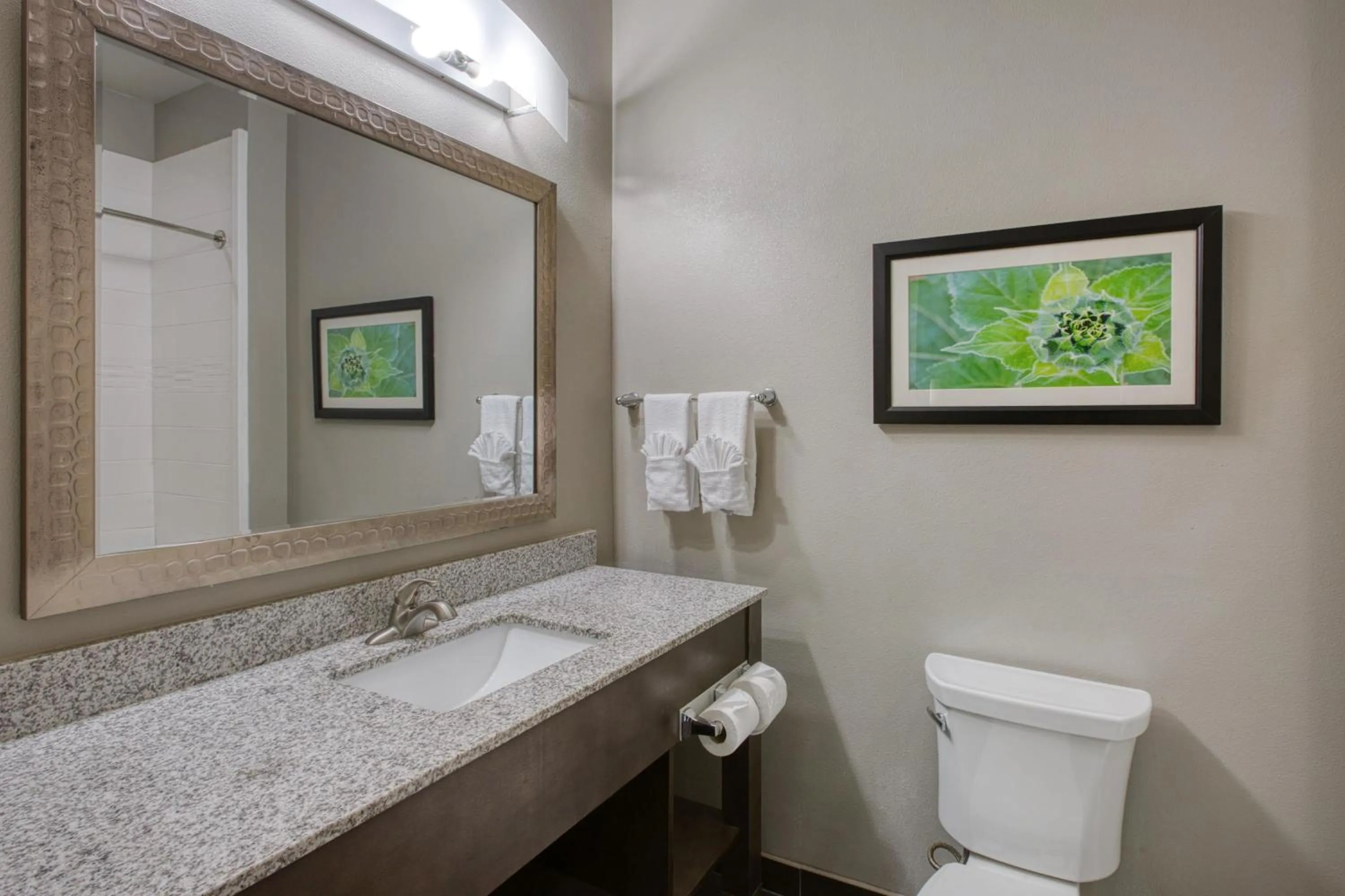 Bathroom in Best Western Plus Tech Medical Center Inn