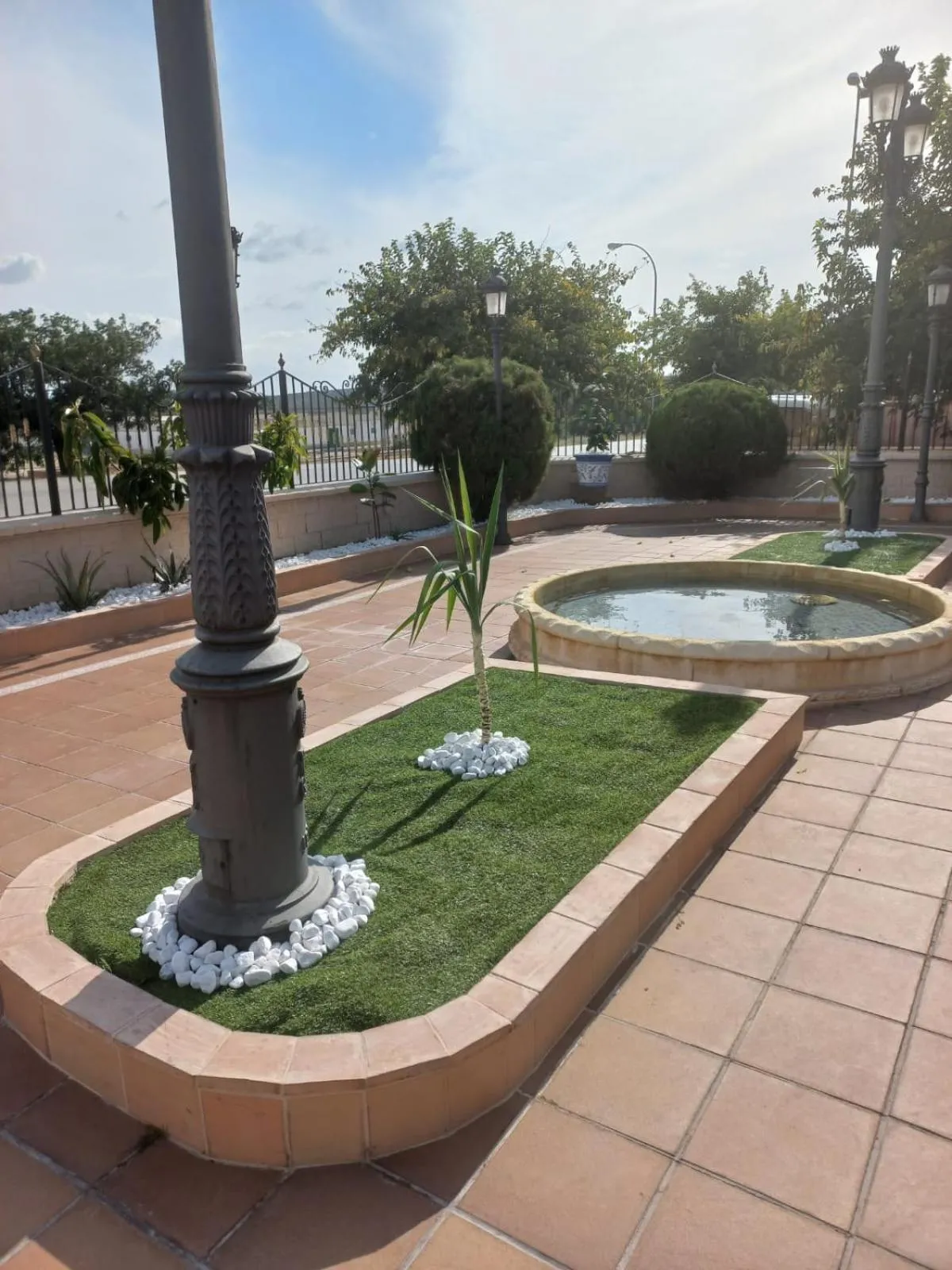 Garden in Hotel Salvador