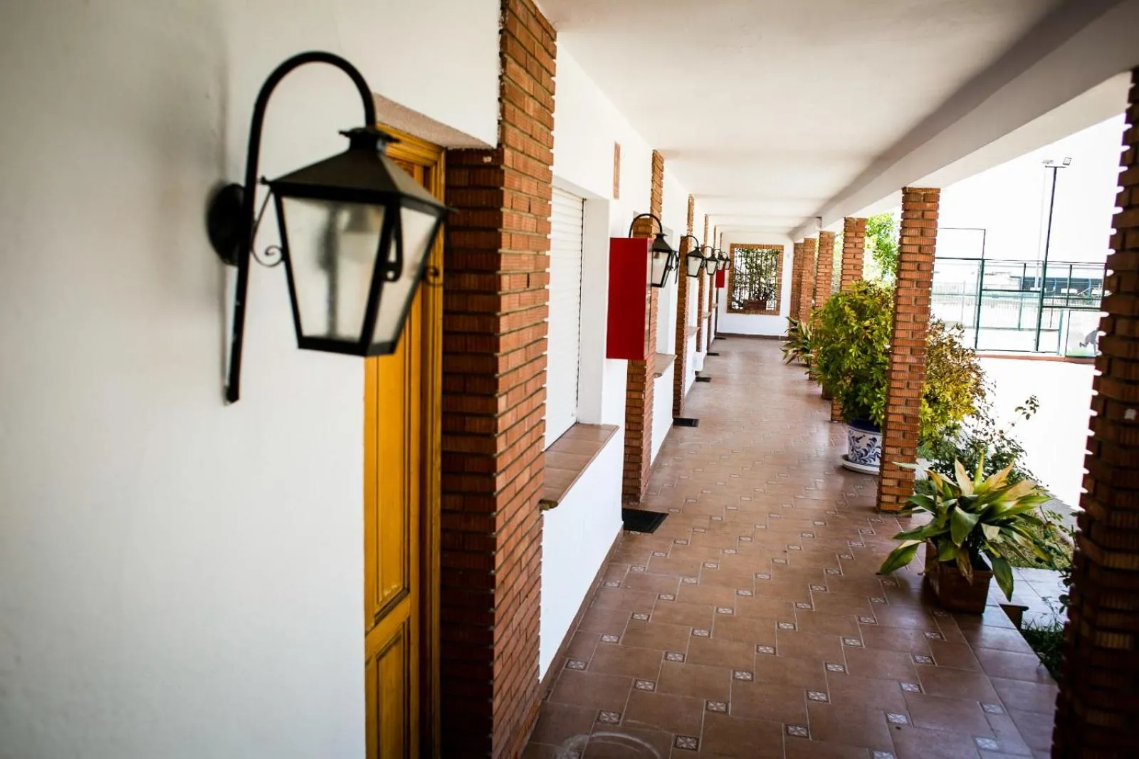 Patio in Hotel Salvador