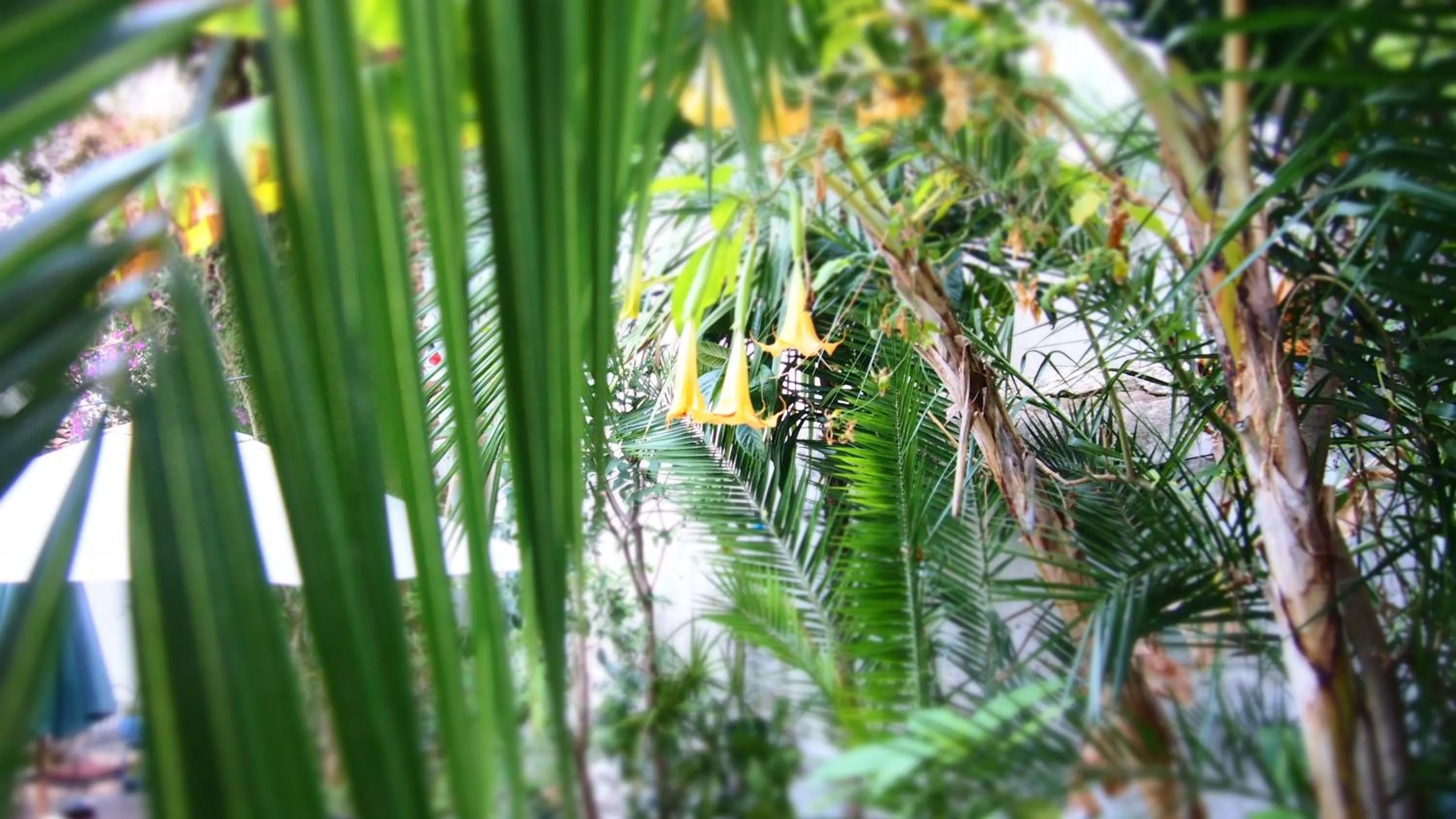 Day in Privat Hotel Liberty Sitges