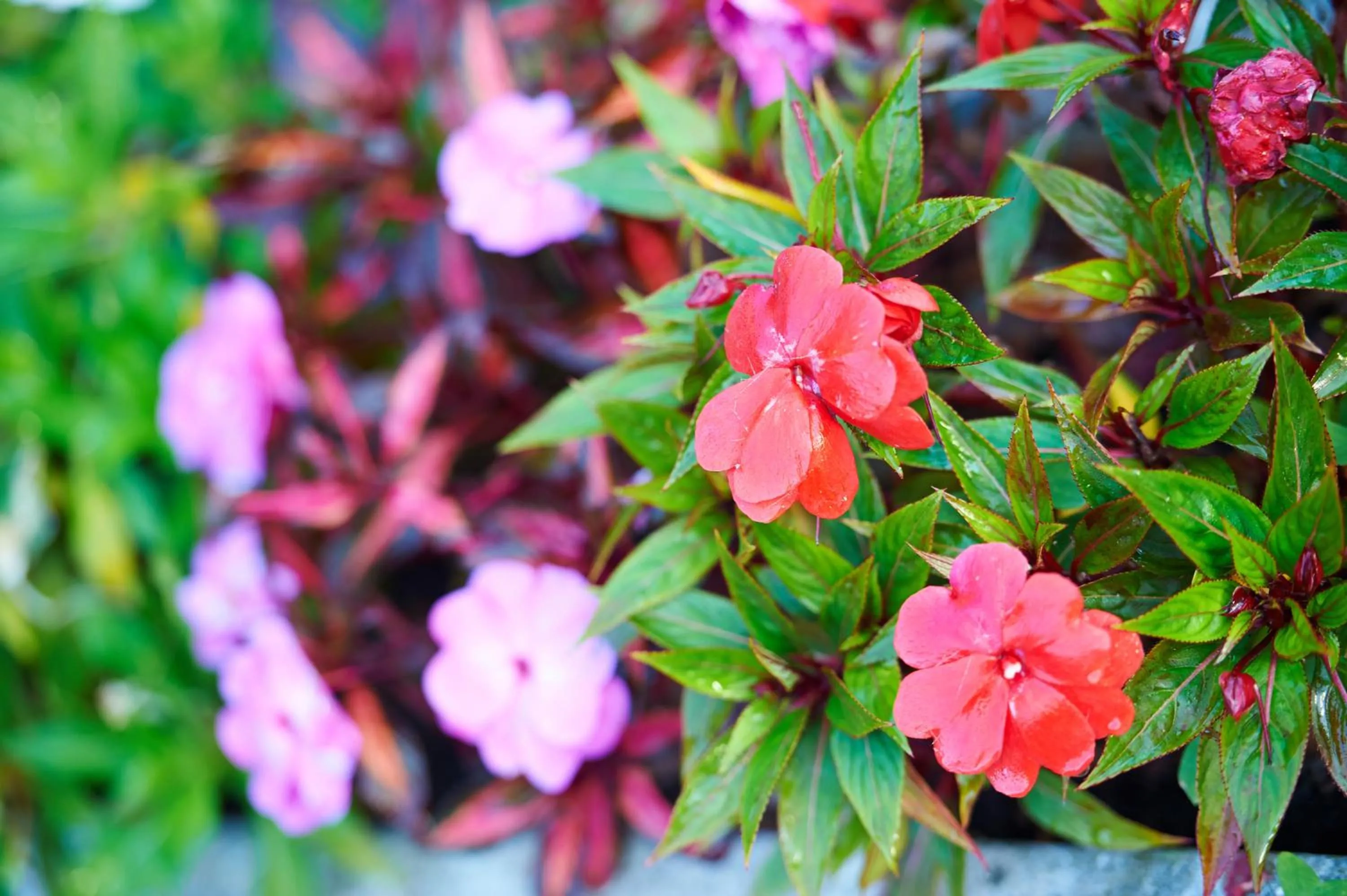 Facade/entrance in Hotel Los Angeles