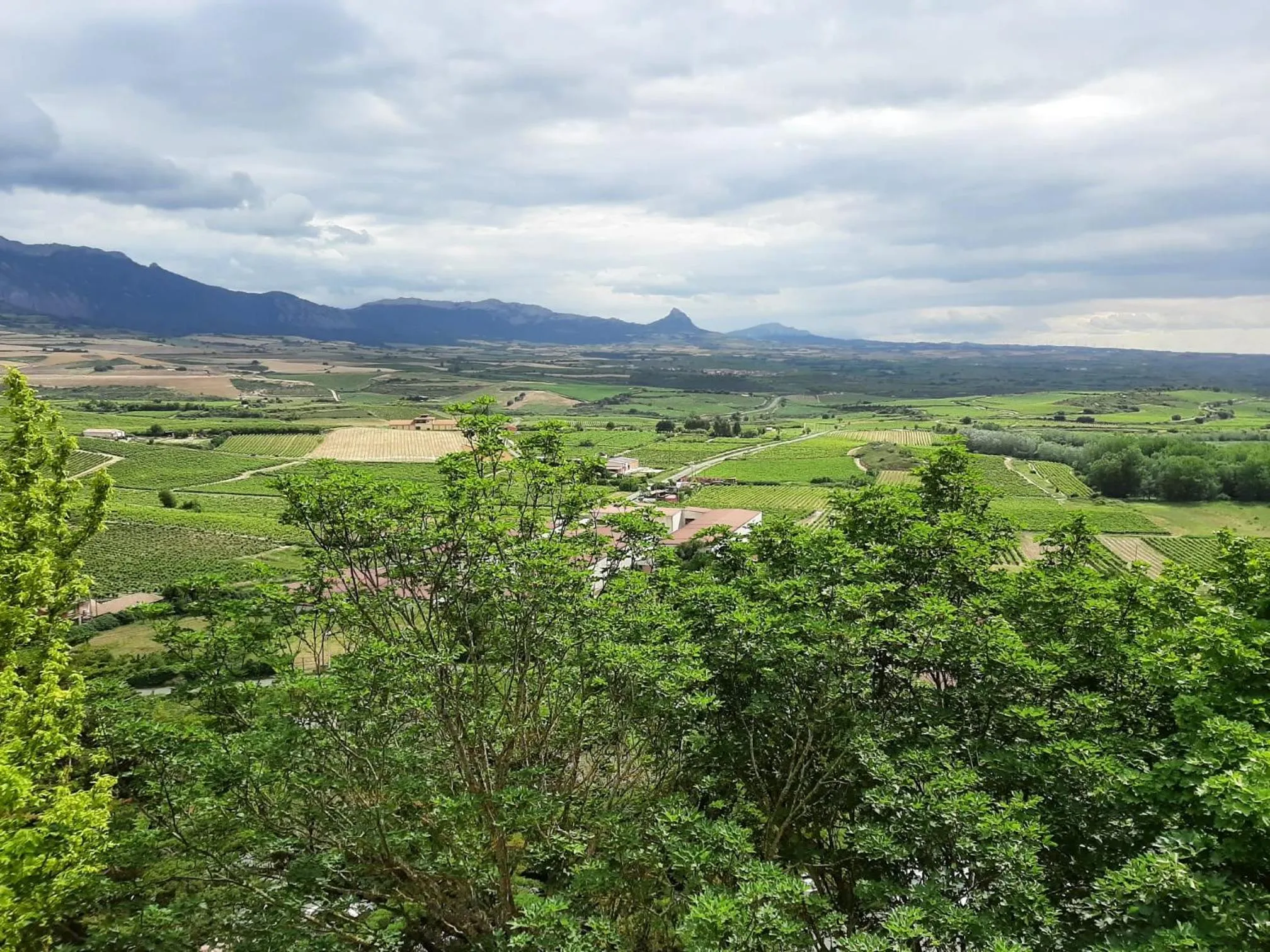 View (from property/room) in Hotel Castillo El Collado