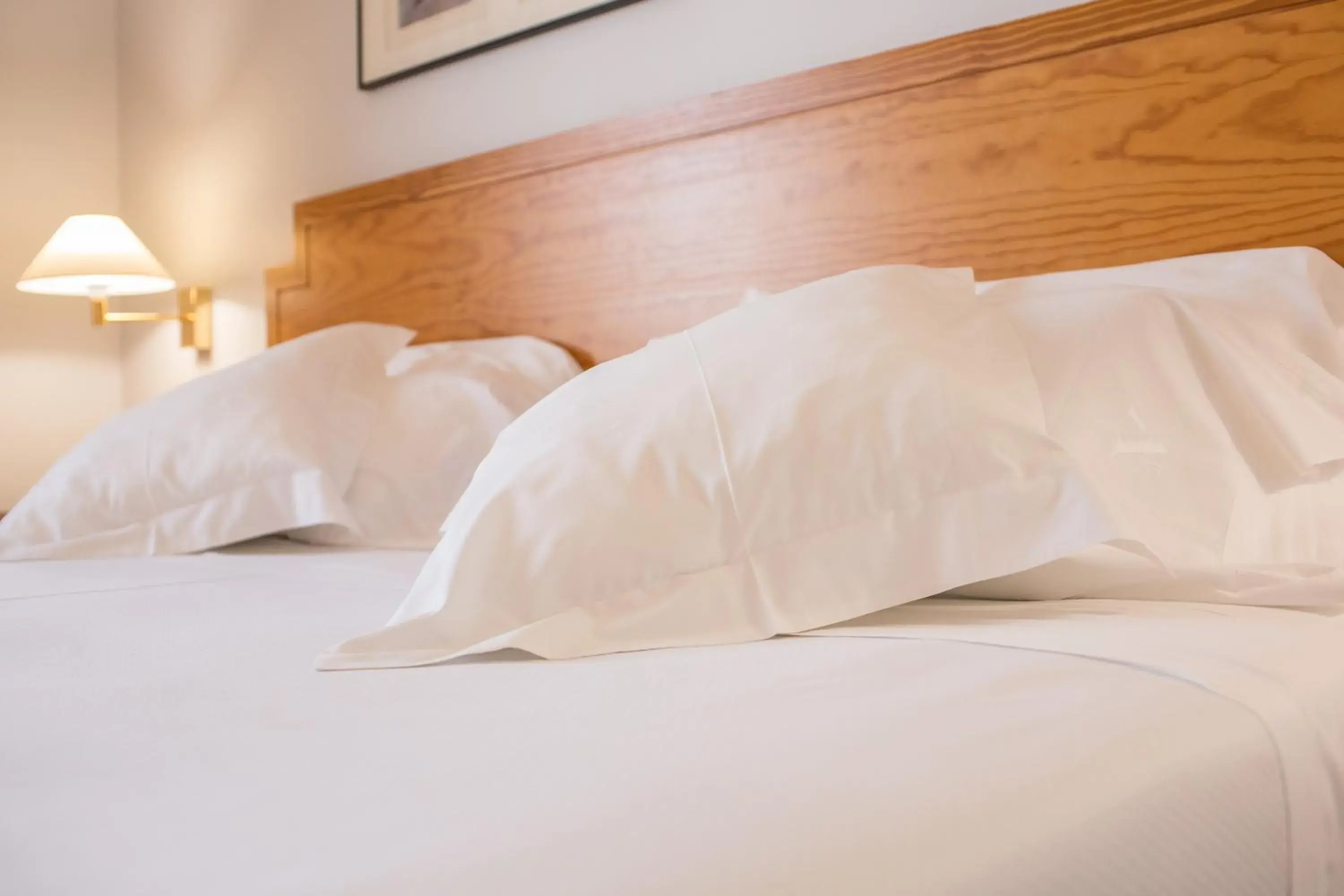 Double Room Single Use - single occupancy in Hotel Vegas Altas Double Room Single Use - single occupancy in Hotel Vegas Altas