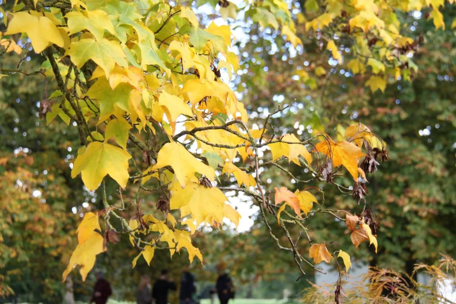 View (from property/room) in Bridge Farm Guesthouse rooms