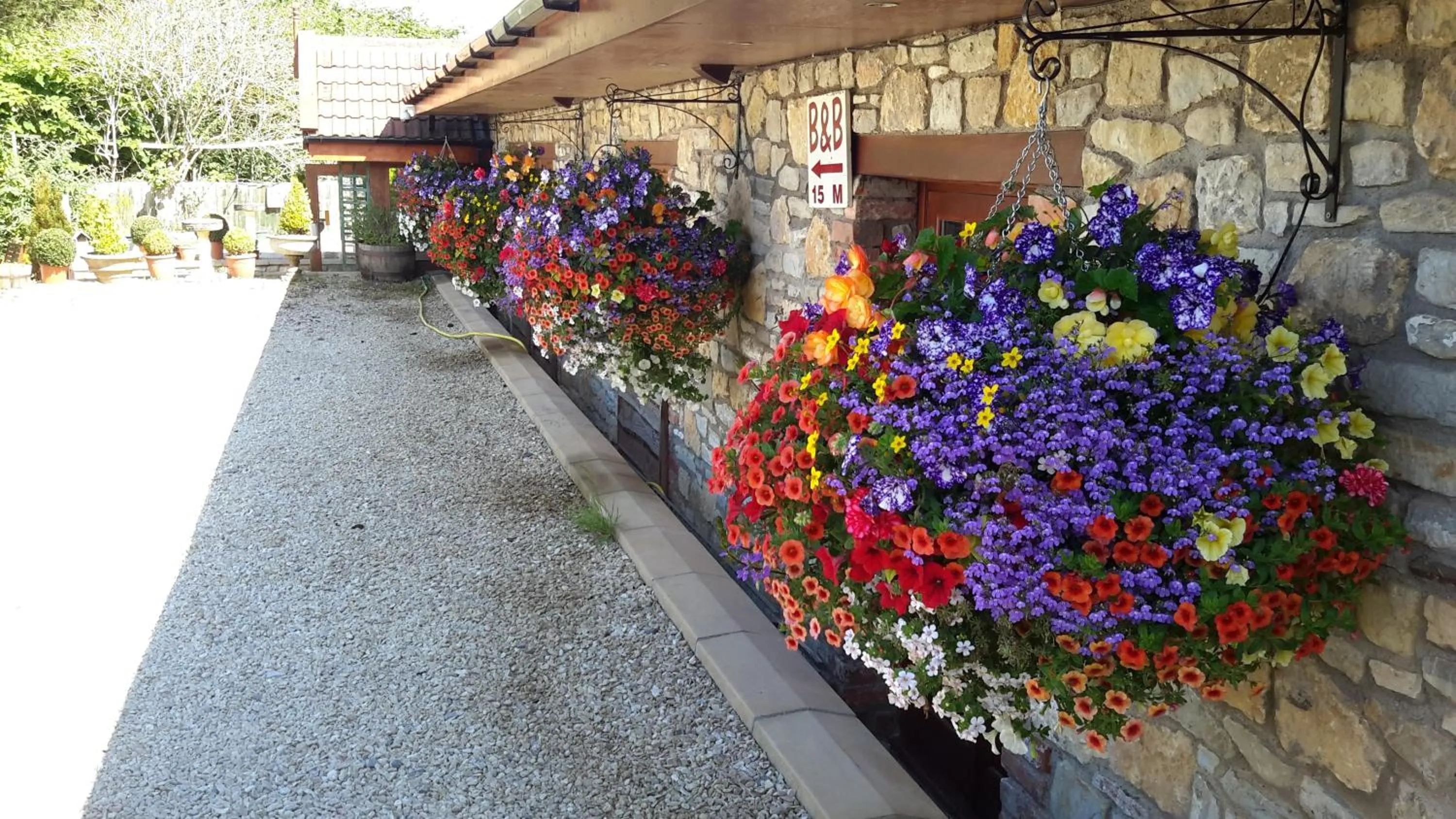 Area and facilities in Bridge Farm Guesthouse rooms