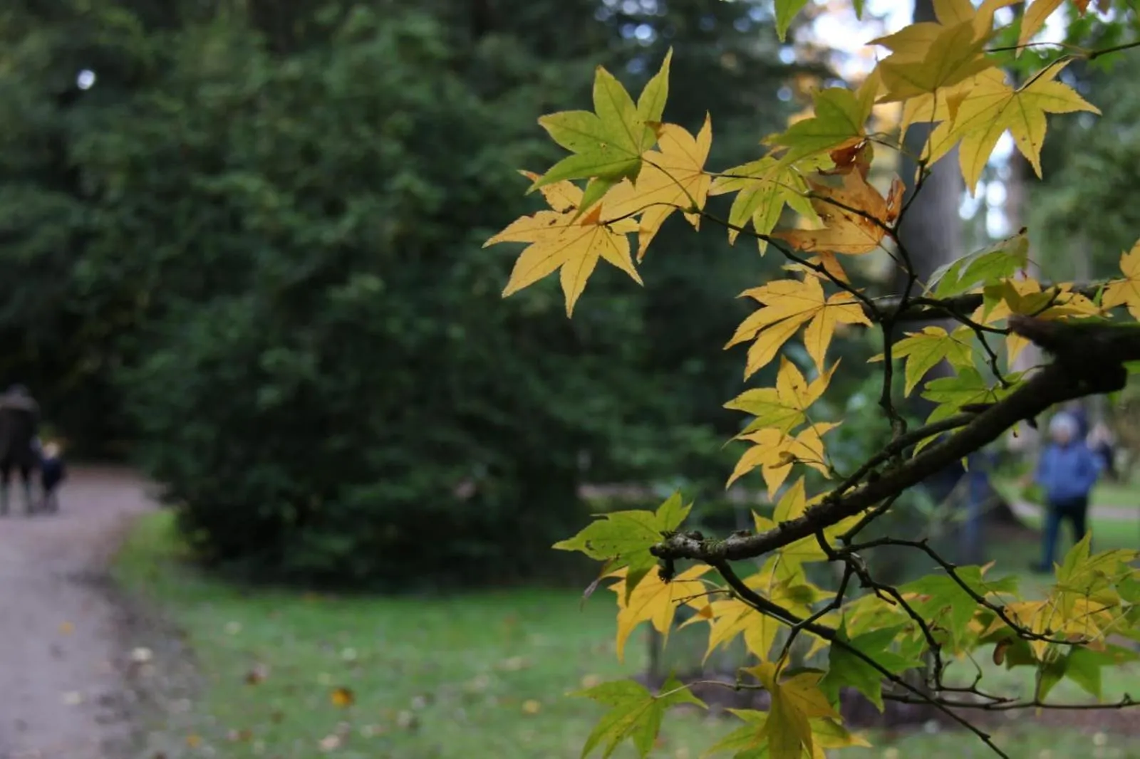 View (from property/room) in Bridge Farm Guesthouse rooms