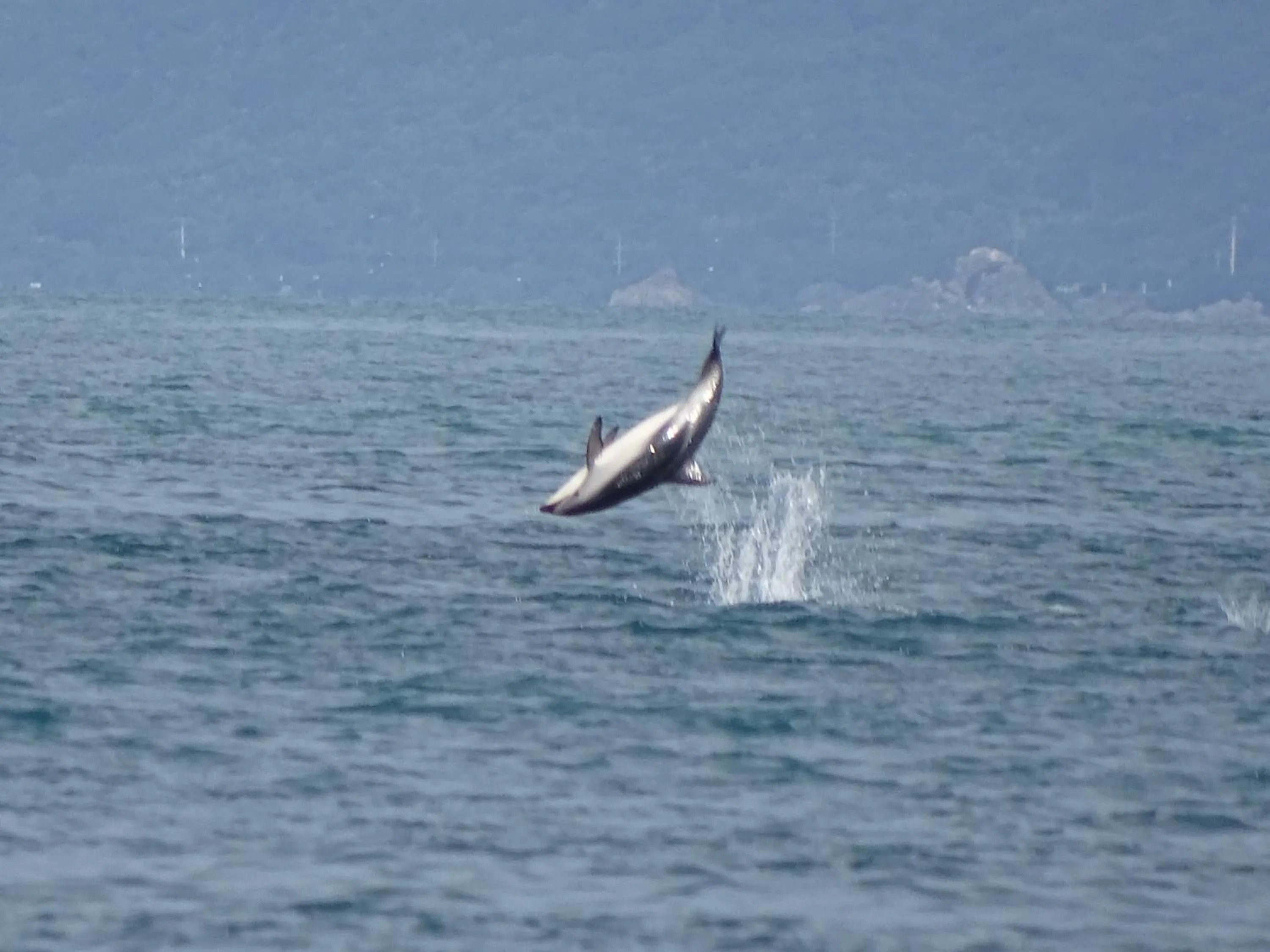 Activities in Kakatu Retreat