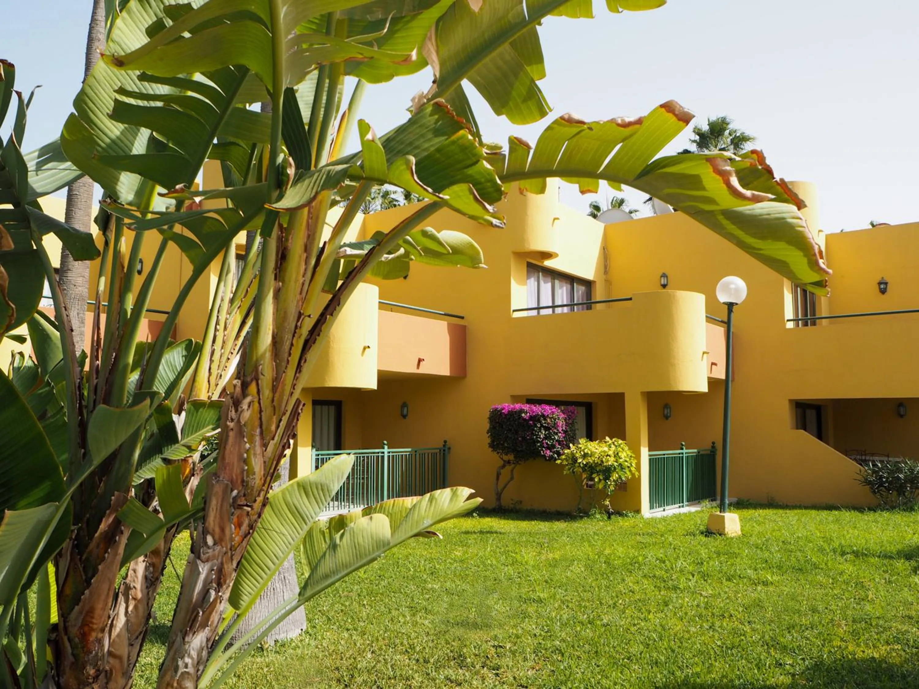 Garden in Atlantic Garden Beach Mate