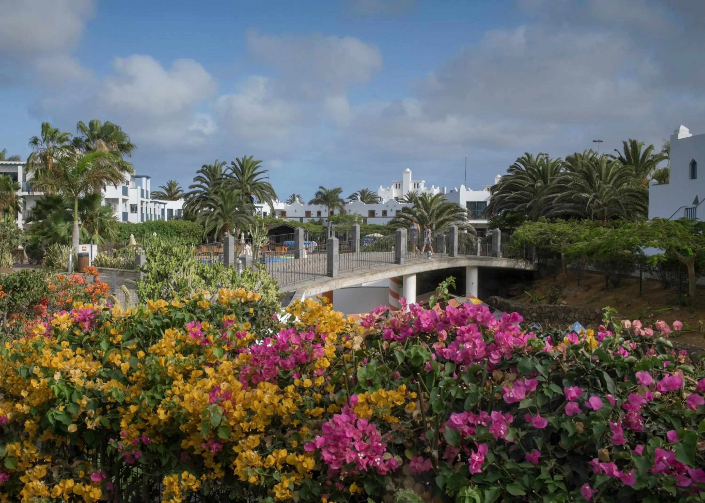 Garden in Las Marismas de Corralejo
