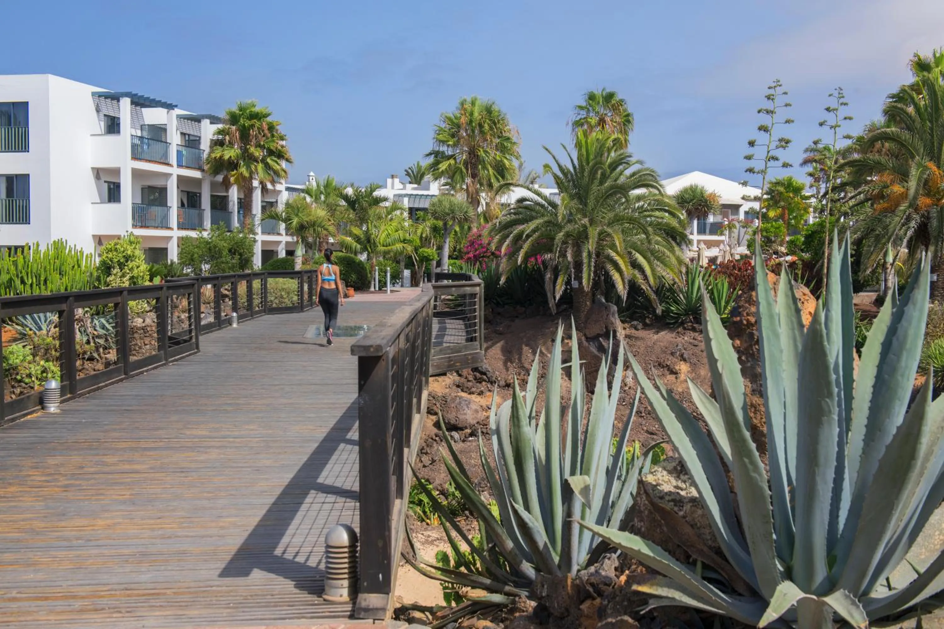 Garden in Las Marismas de Corralejo