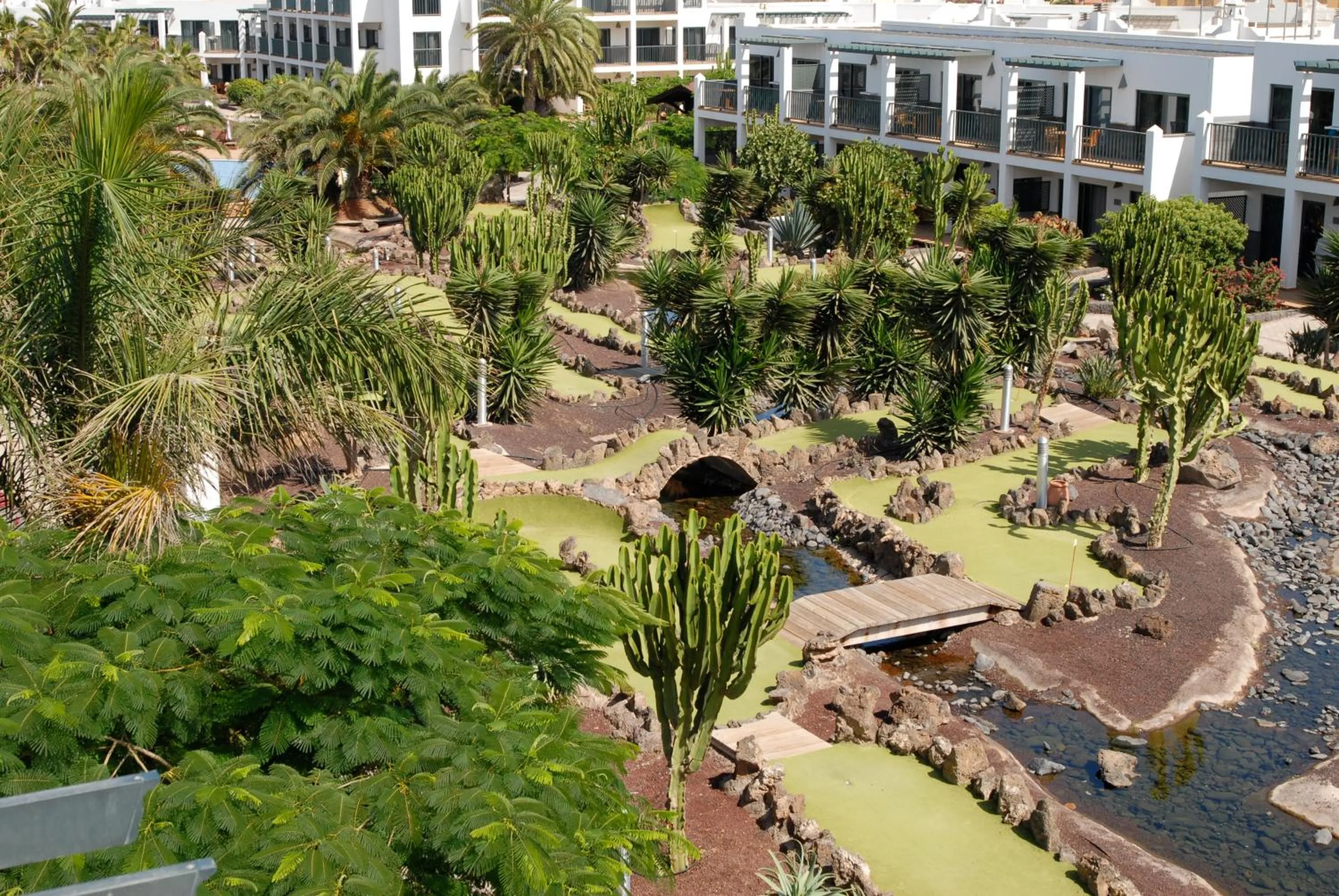 Bird's eye view in Las Marismas de Corralejo