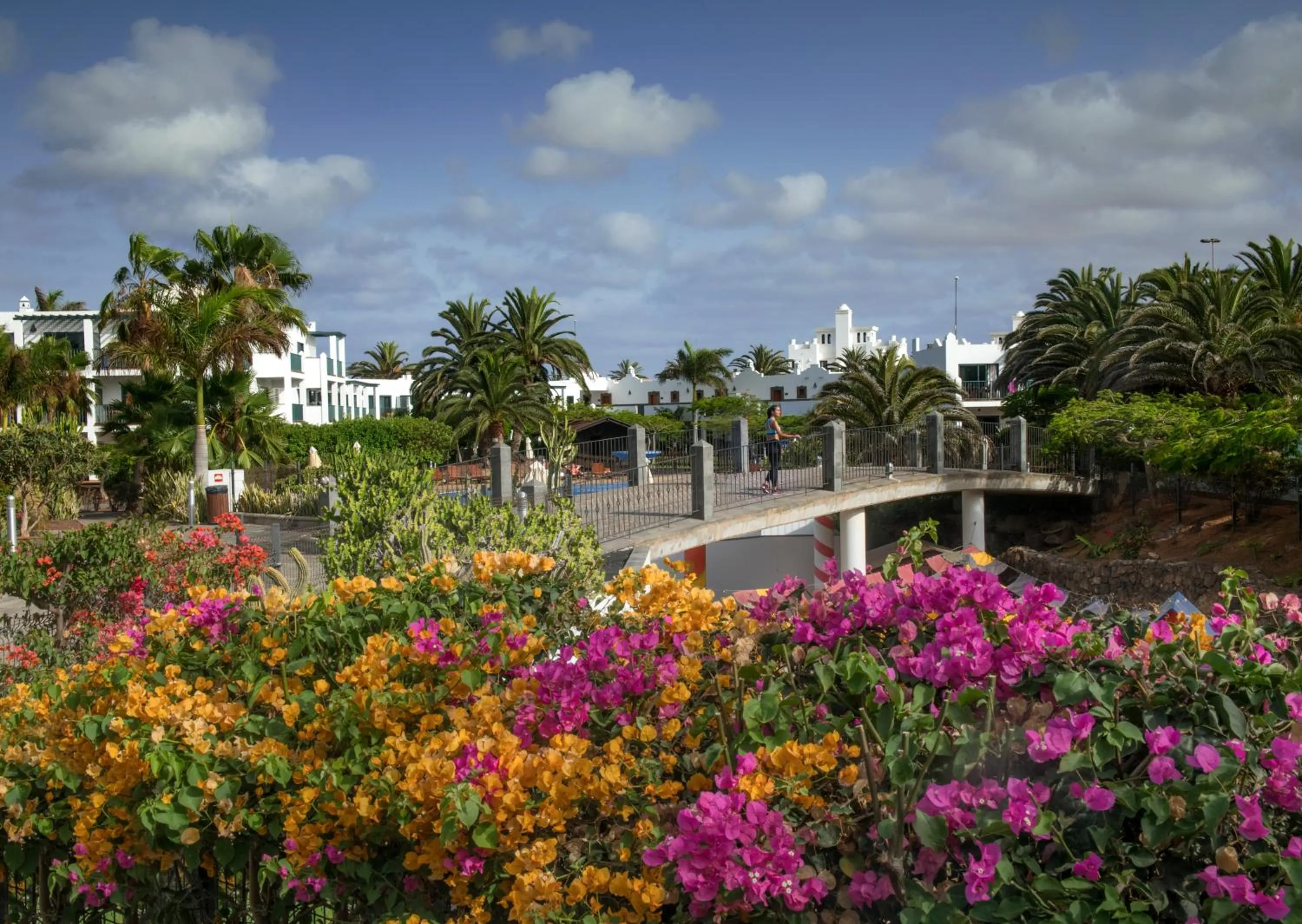 Garden in Las Marismas de Corralejo