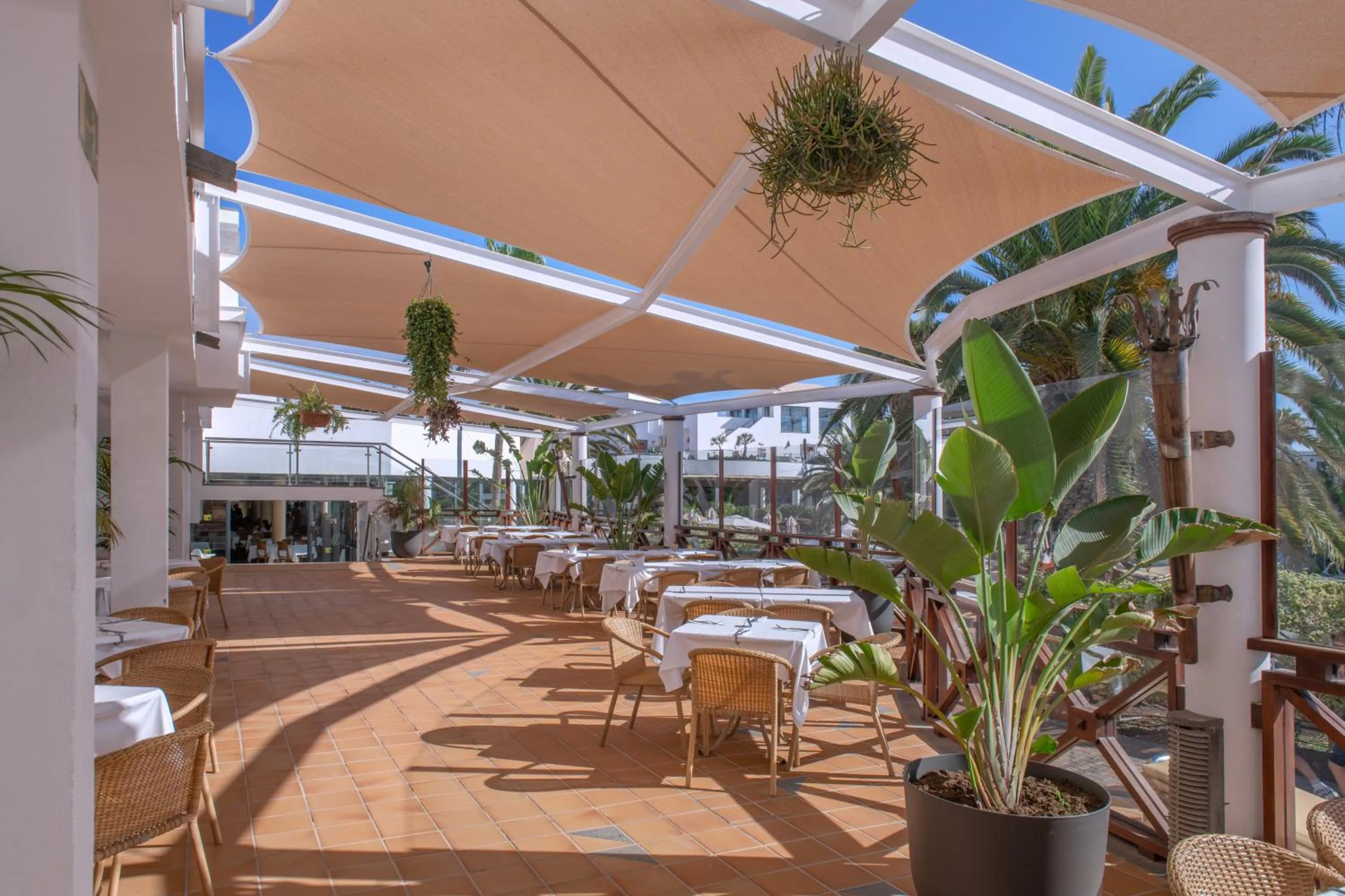 Restaurant/places to eat in Las Marismas de Corralejo