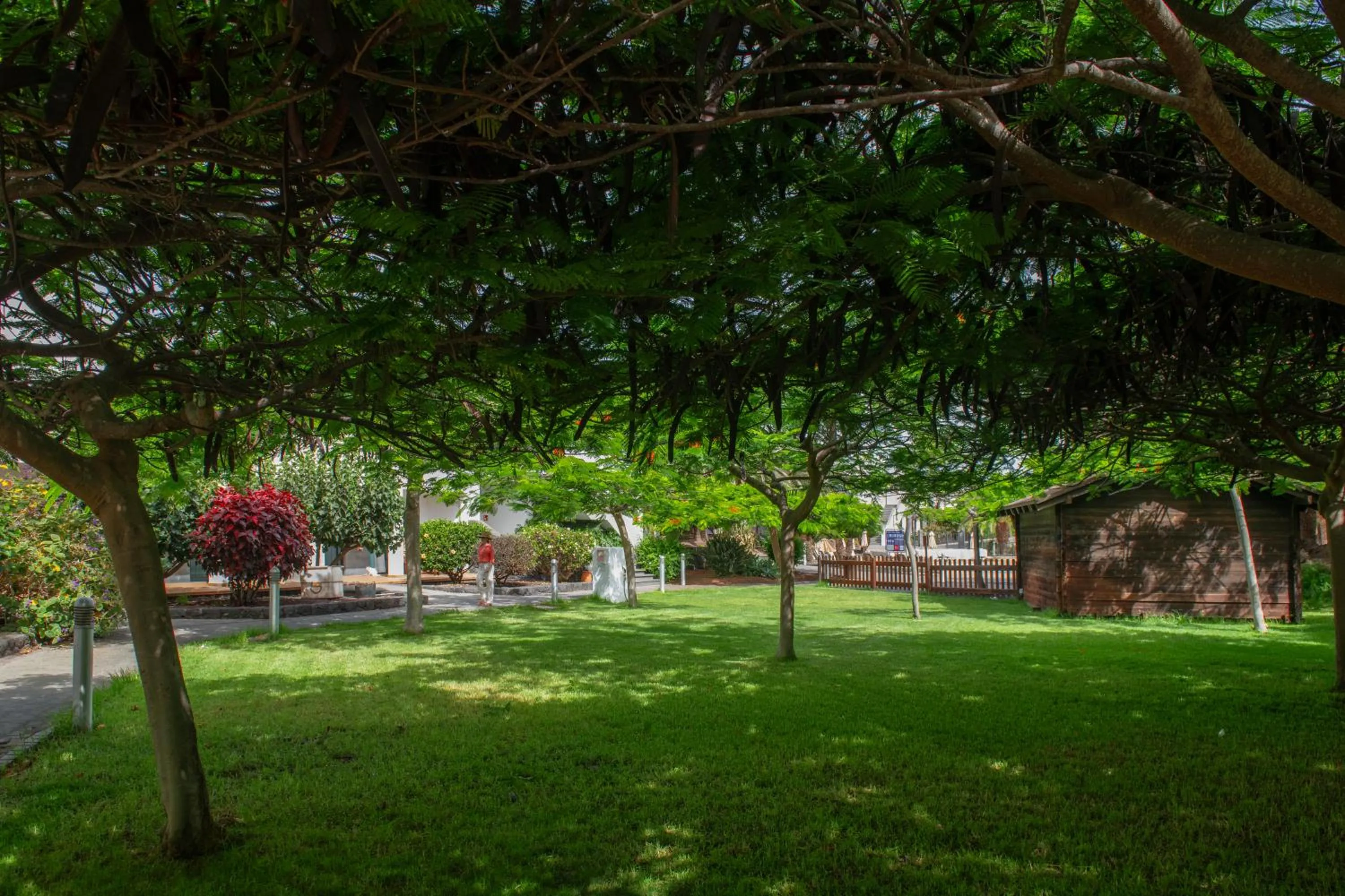 Garden in Las Marismas de Corralejo