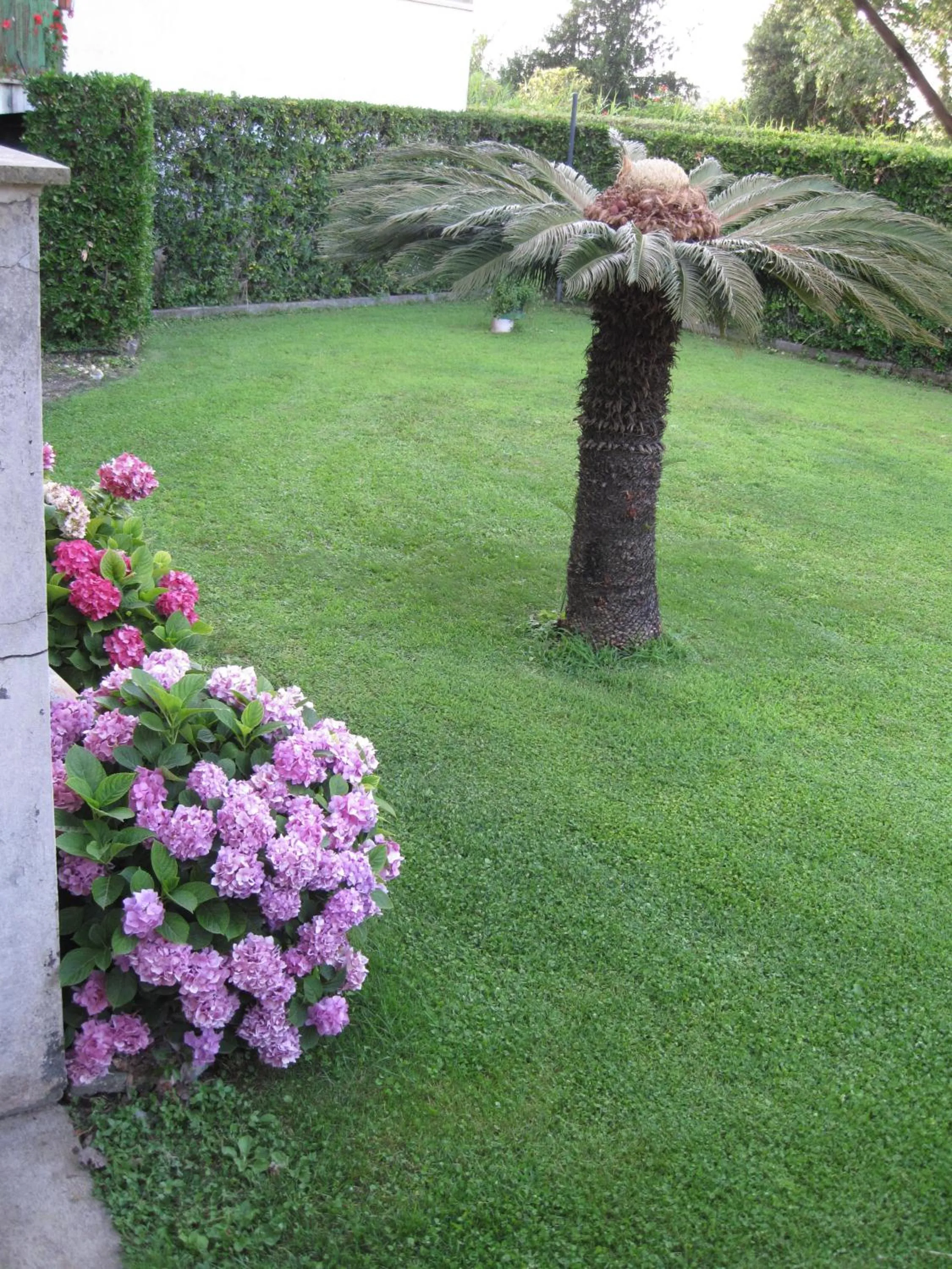 Garden in Hotel Le Pleiadi