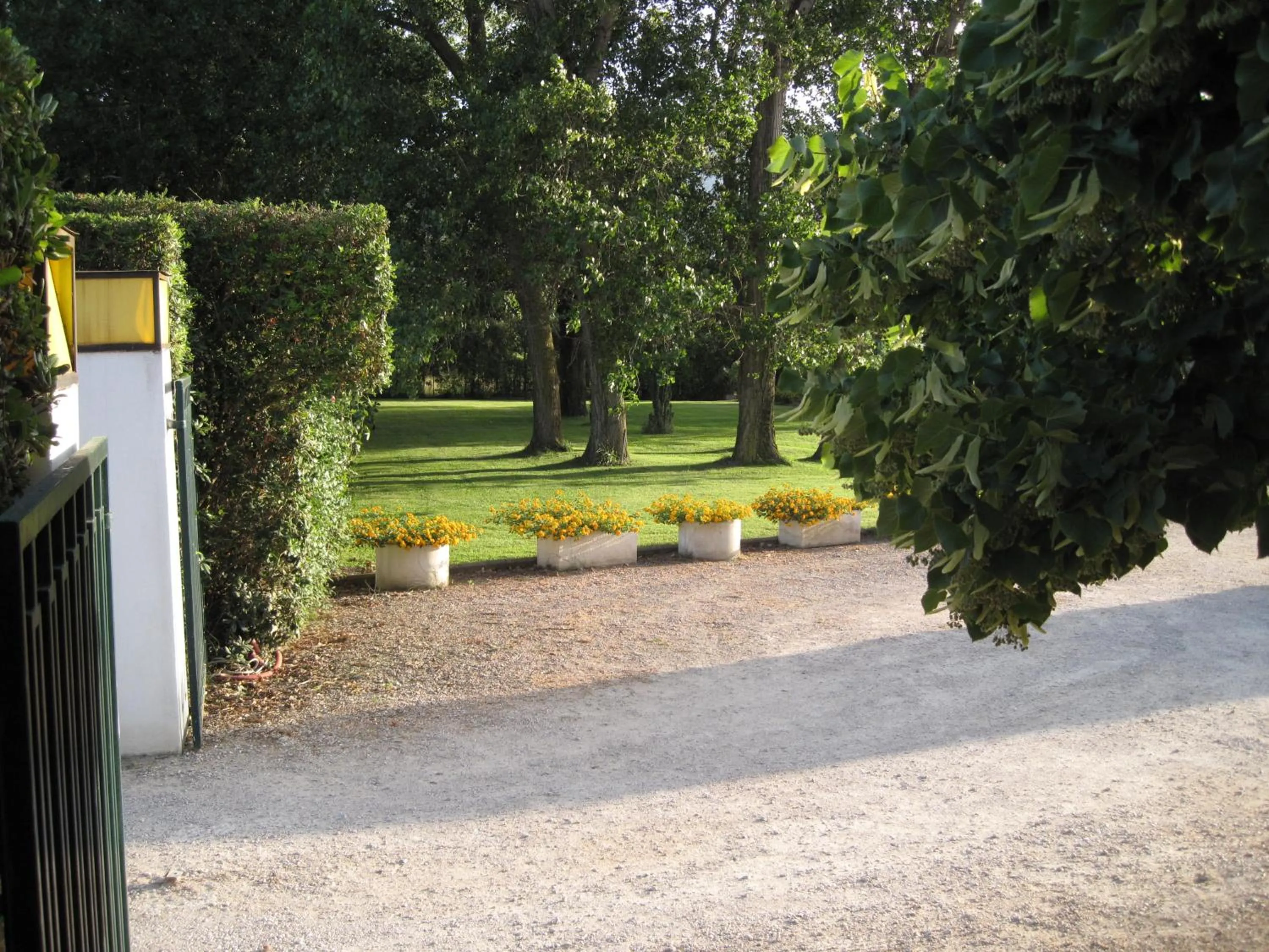 Garden in Hotel Le Pleiadi