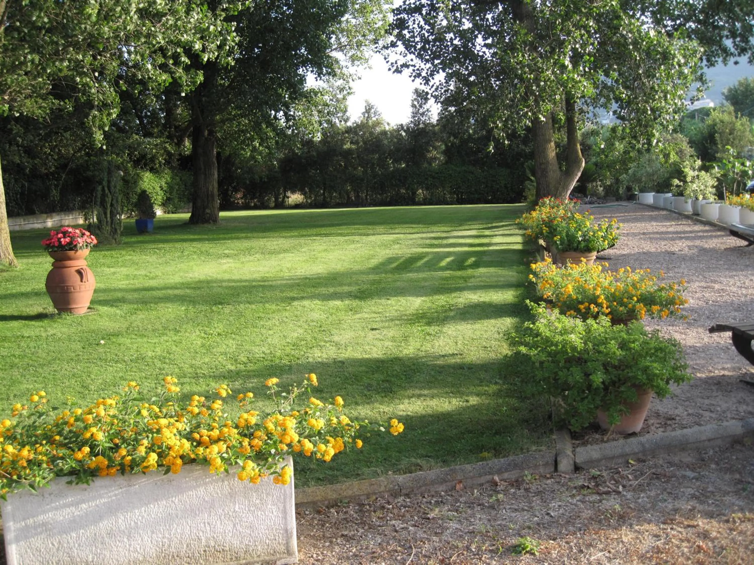 Garden in Hotel Le Pleiadi