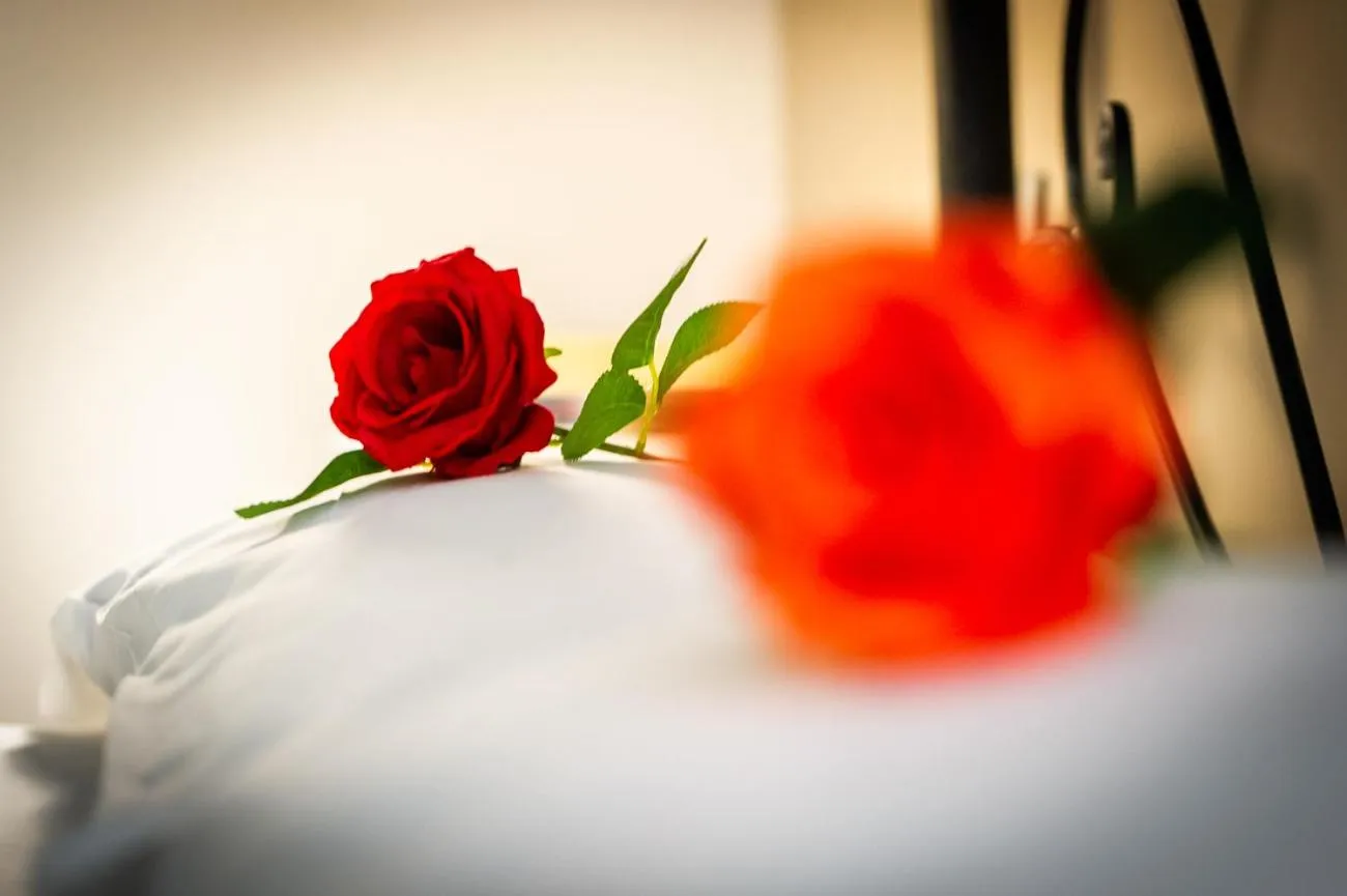 Bed in B&B Saint Paul