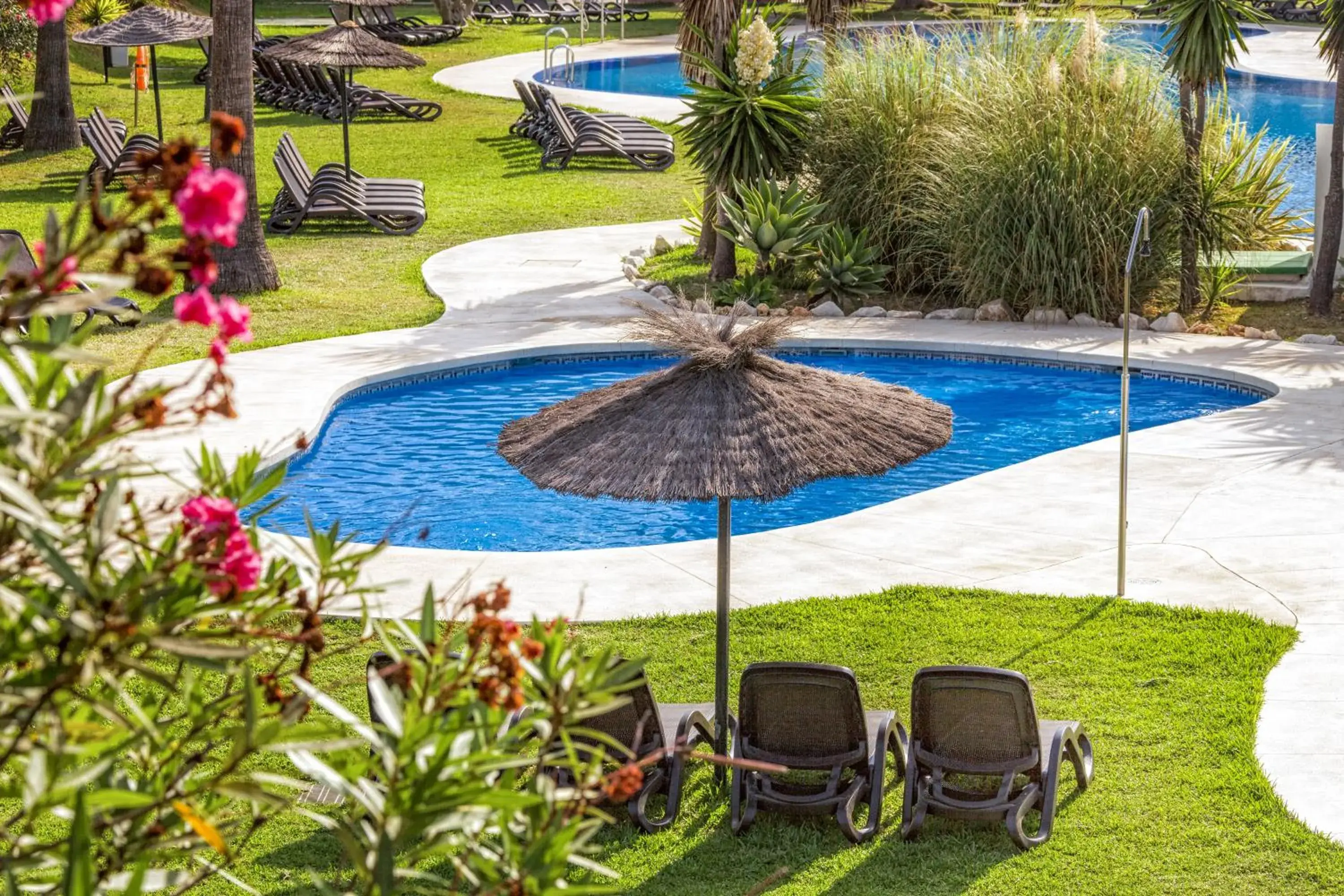 Swimming pool in Los Amigos Beach Club Swimming pool in Los Amigos Beach Club